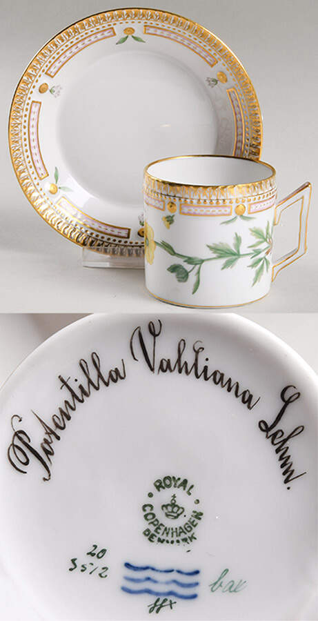 Flora Danica (1790 To 1960) Chocolate Cup & Smooth Saucer-Potentilla Vahliana by Royal Copenhagen-1