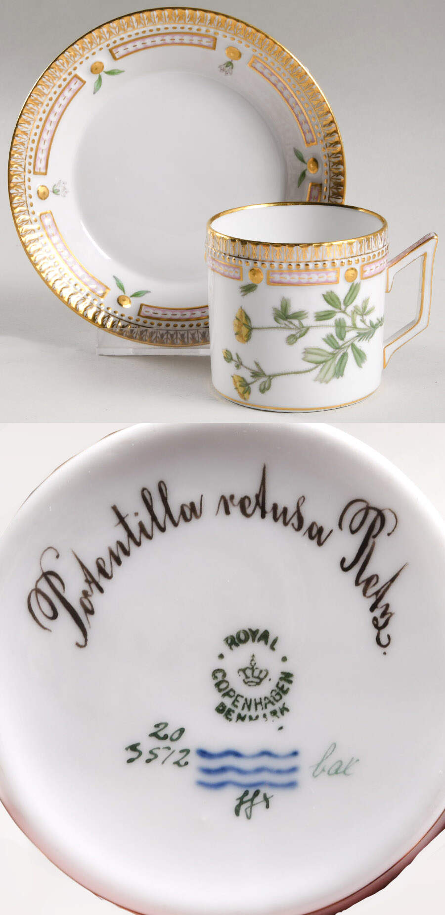 Flora Danica (1790 To 1960) Chocolate Cup & Smooth Saucer-Potentilla retusa Re by Royal Copenhagen-1