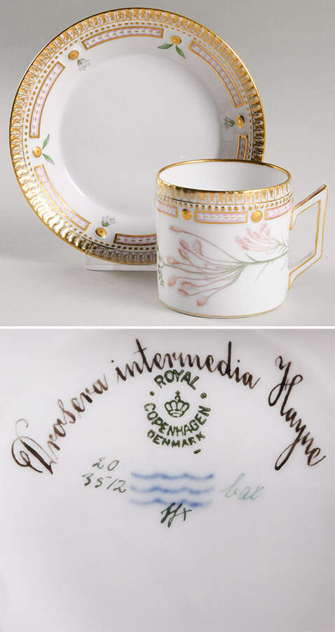Flora Danica (1790 To 1960) Chocolate Cup & Smooth Saucer-Drosera intermedia H by Royal Copenhagen-1