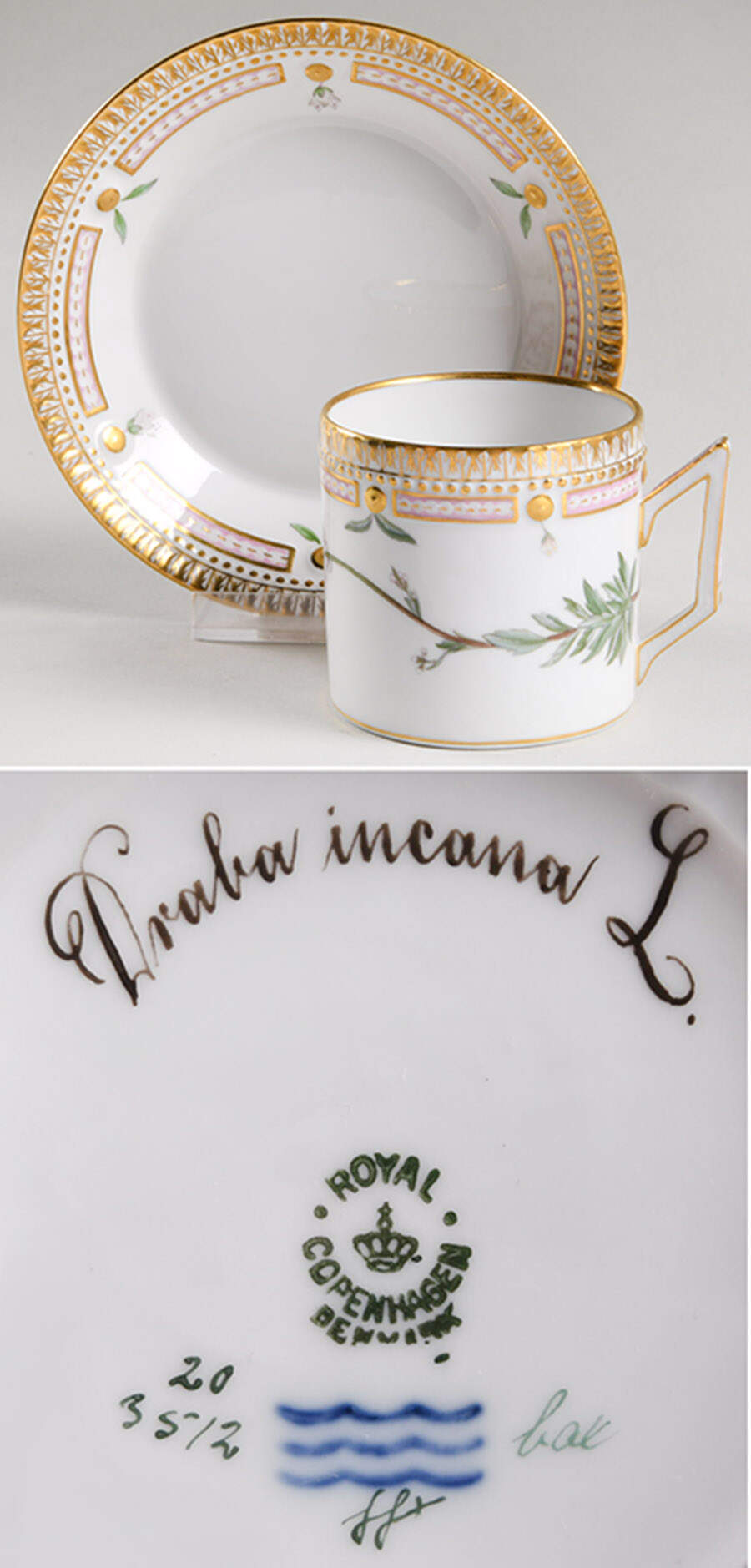 Flora Danica (1790 To 1960) Chocolate Cup & Smooth Saucer-Draba incana L. by Royal Copenhagen-1
