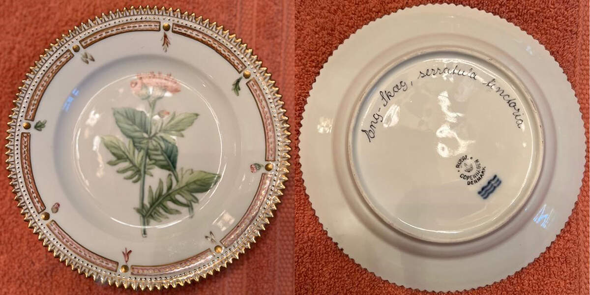 Flora Danica (1790 To 1960) Dessert/Pie Plate-Serralula tencloria by Royal Copenhagen-1