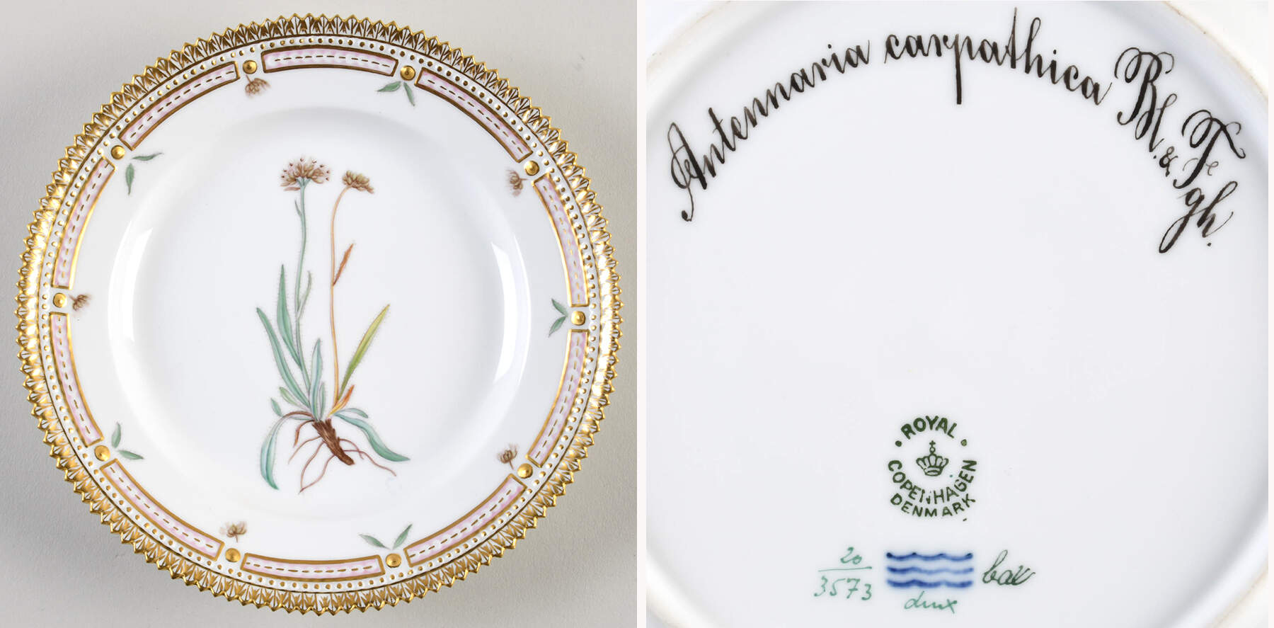 Flora Danica (1790 To 1960) Salad Plate-Antennaria carpathica M & Fgh by Royal Copenhagen-1