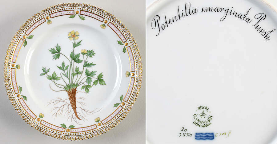 Flora Danica (1790 To 1960) Luncheon Plate-Potentilla emarginata Pursh. by Royal Copenhagen-1