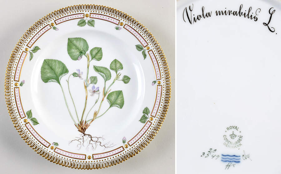 Flora Danica (1790 To 1960) Dinner Plate-Viola montana L by Royal Copenhagen-1