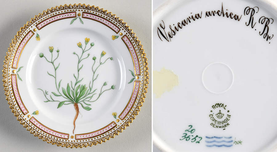 Flora Danica (1790 To 1960) Bread & Butter Plate-Vesicaria Arctica R Br. by Royal Copenhagen-1