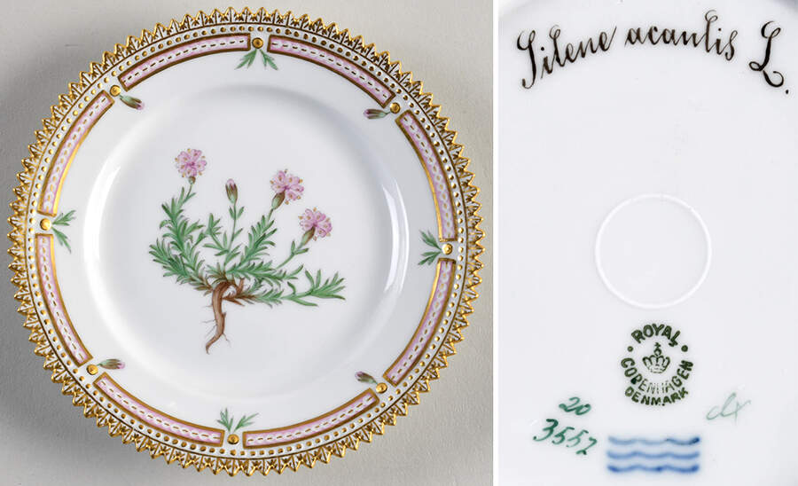 Flora Danica (1790 To 1960) Bread & Butter Plate-Sioene acanlis L. by Royal Copenhagen-1