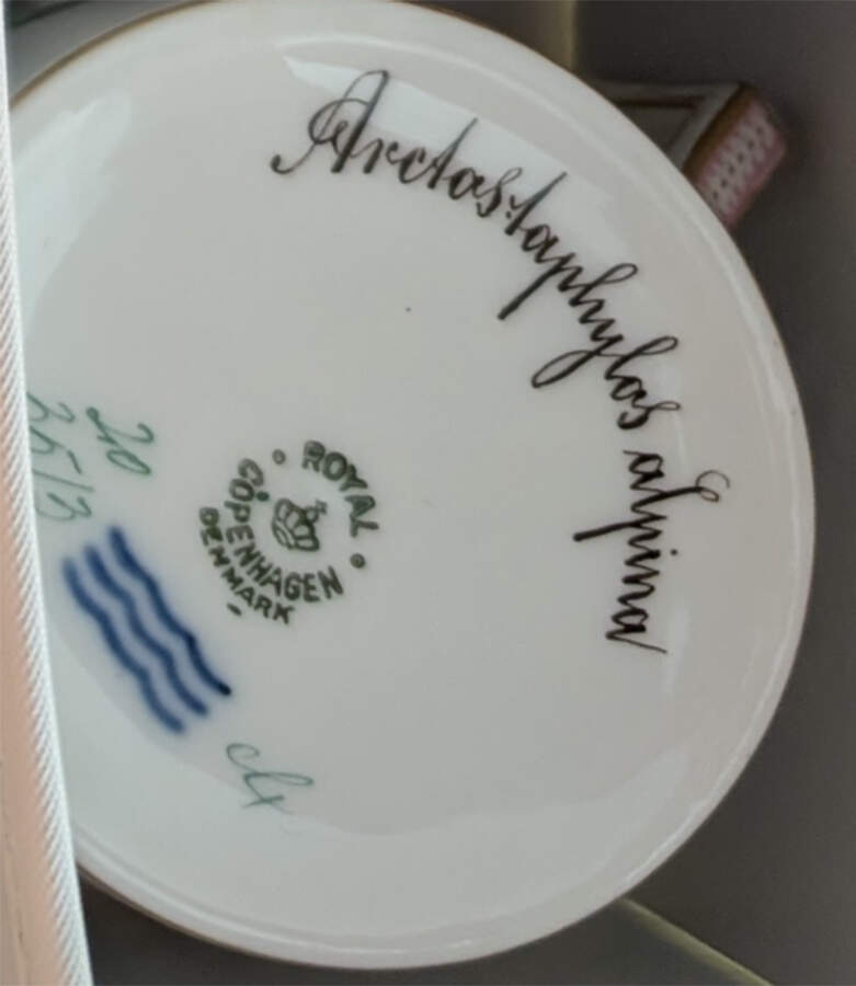 Flora Danica (1790 To 1960) Chocolate Cup-Arctastaphylas alpina by Royal Copenhagen-1