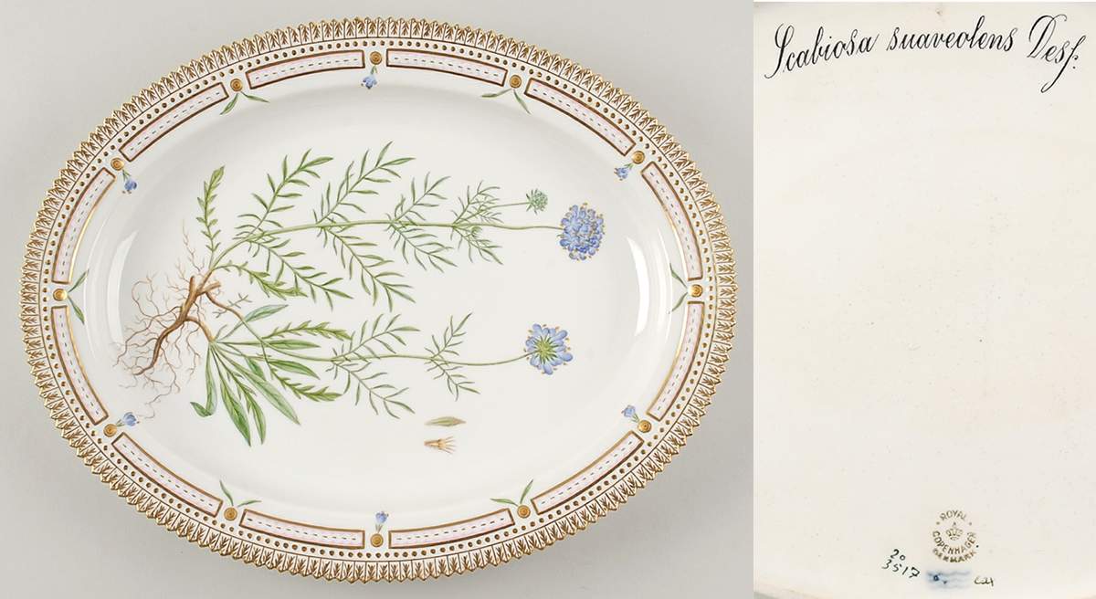 Flora Danica (1790 To 1960) 14" Oval Serving Platter-Scabiosa suaveolens Desf by Royal Copenhagen-1