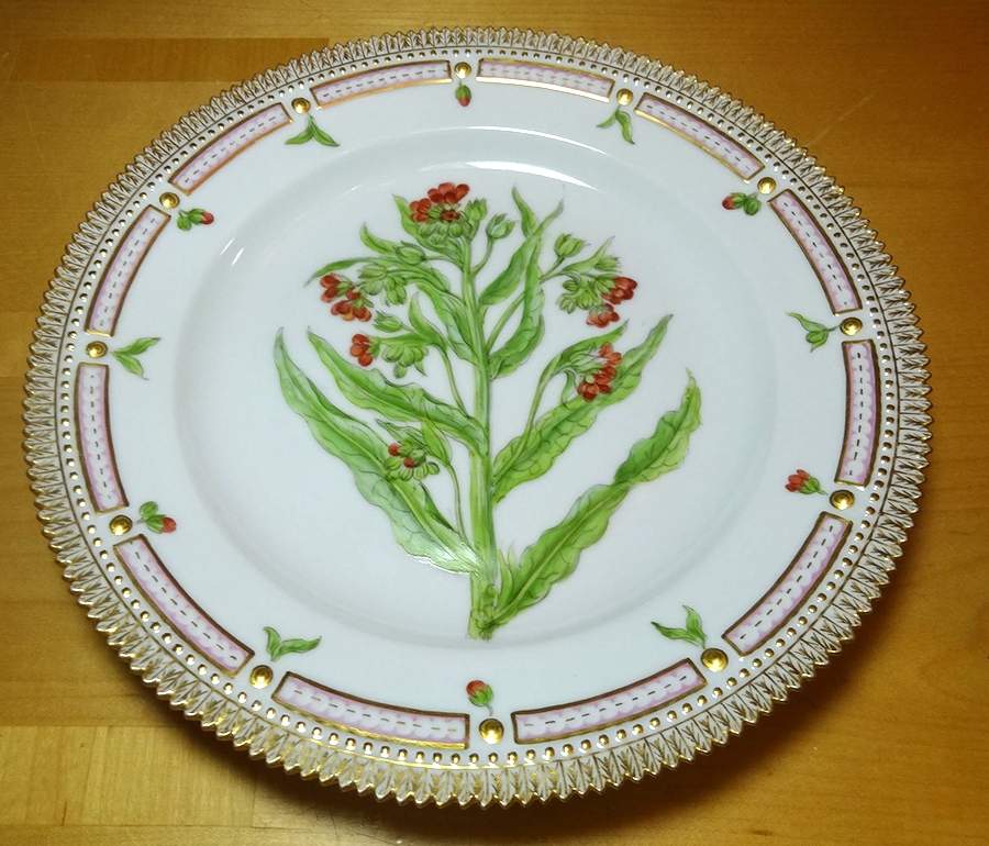Flora Danica (1790 To 1960) Dinner Plate-Cynaglassum afficinale by Royal Copenhagen-1