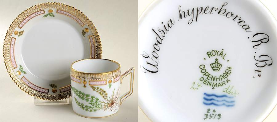 Flora Danica (1790 To 1960) Chocolate Cup & Serrated Saucer-Woodsia hyperborea by Royal Copenhagen-1