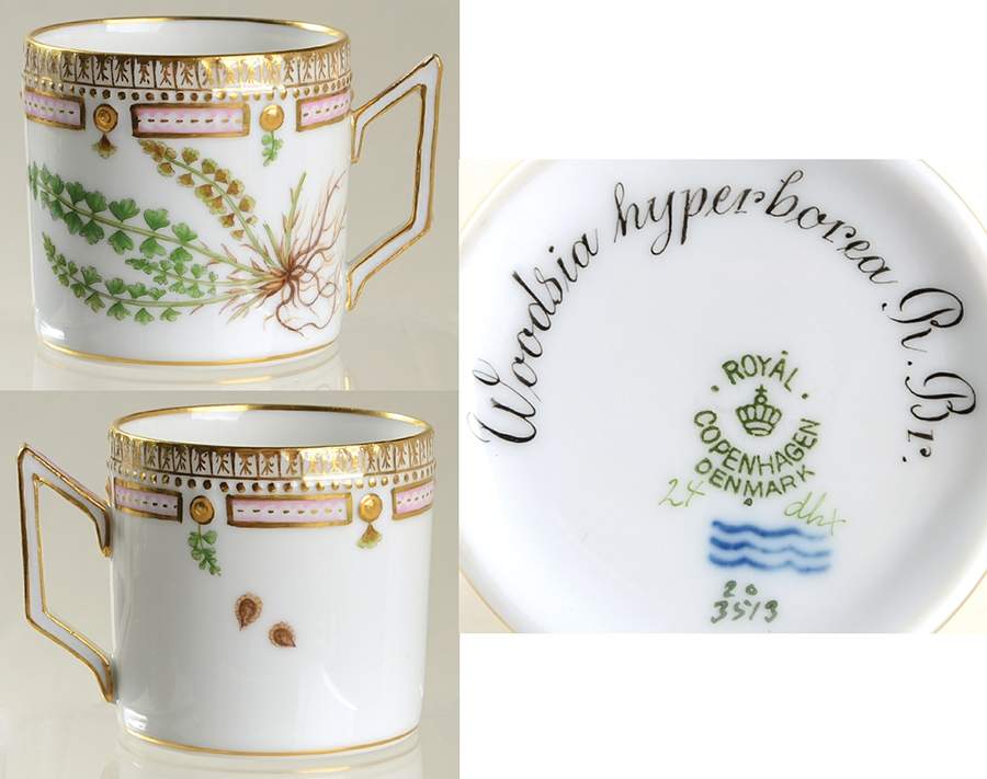 Flora Danica (1790 To 1960) Chocolate Cup-Woodsia hyperborea R. Br. by Royal Copenhagen-1