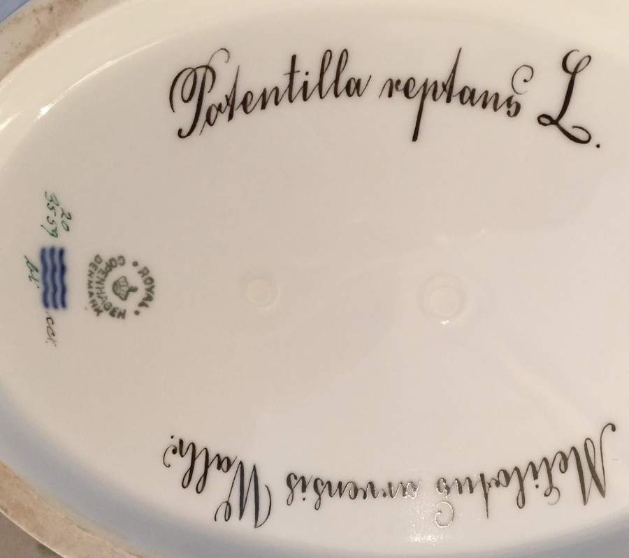 Flora Danica (1790 To 1960) 4Qt Oval Tureen No Lid-Mecilotus Wal, Potentilla r by Royal Copenhagen-1