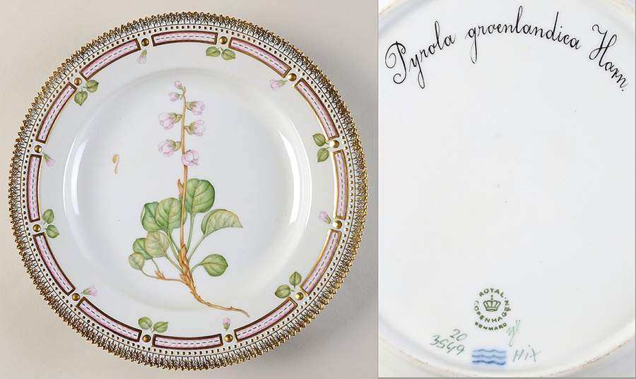 Flora Danica (1790 To 1960) Dinner Plate-Pyrola groeenlandica Horn. by Royal Copenhagen-1