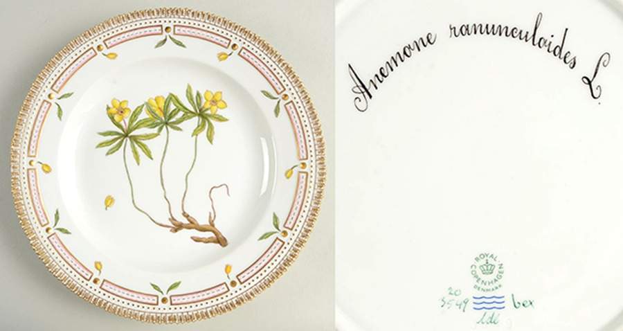 Flora Danica (1790 To 1960) Dinner Plate-Anemone ranunculoides L. by Royal Copenhagen-1