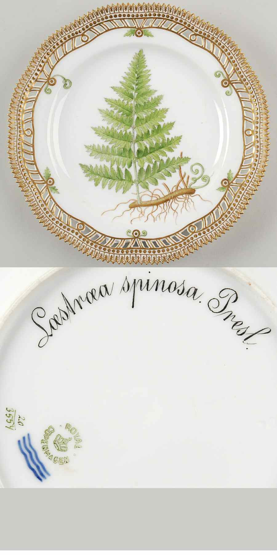 Flora Danica (1790 To 1960) 9" Pierced Luncheon Plate/Fruit Std-Lastraea spino by Royal Copenhagen-1