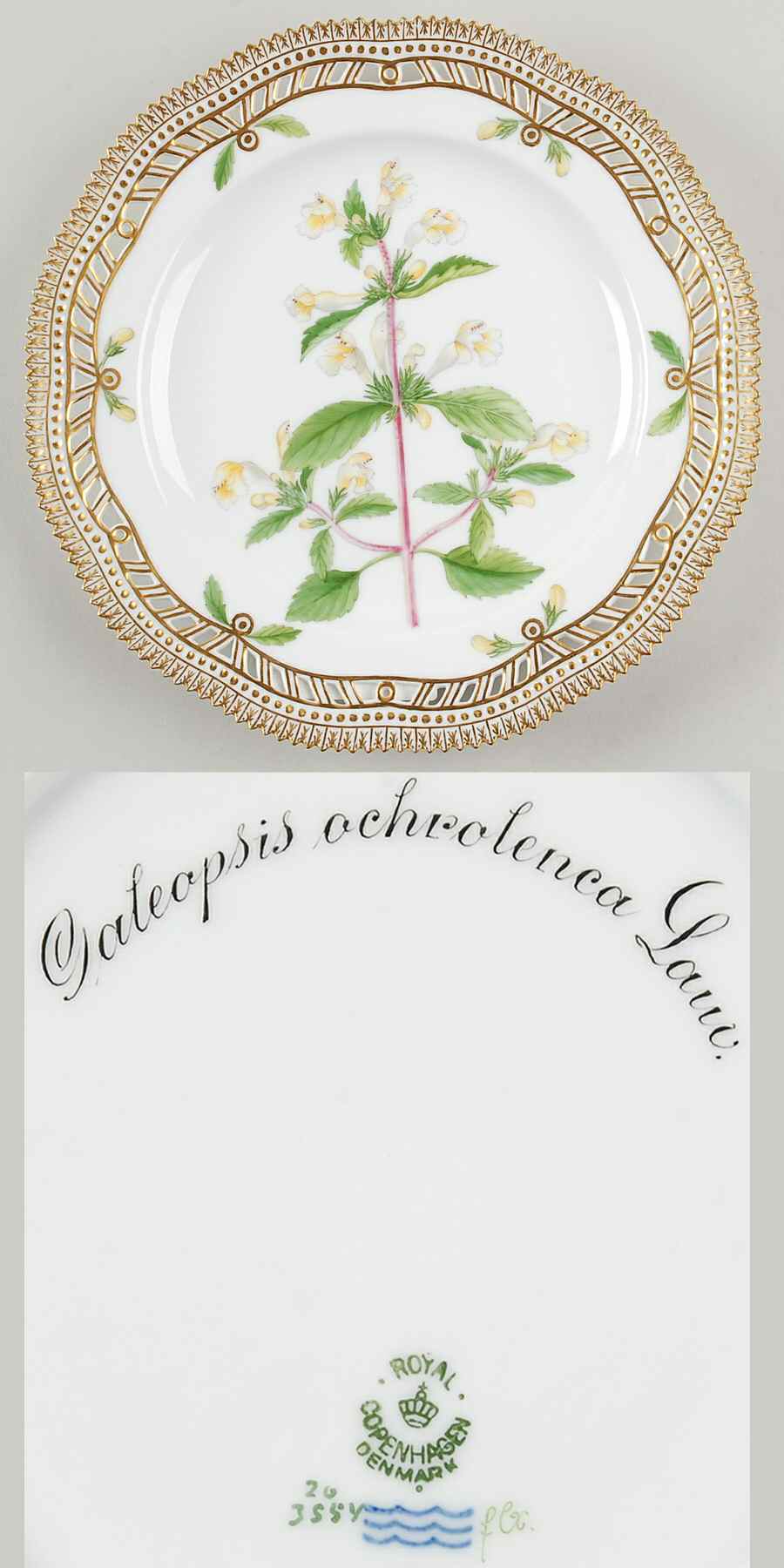 Flora Danica (1790 To 1960) 9" Pierced Luncheon Plate/Fruit Std-Galeopsis ochr by Royal Copenhagen-1