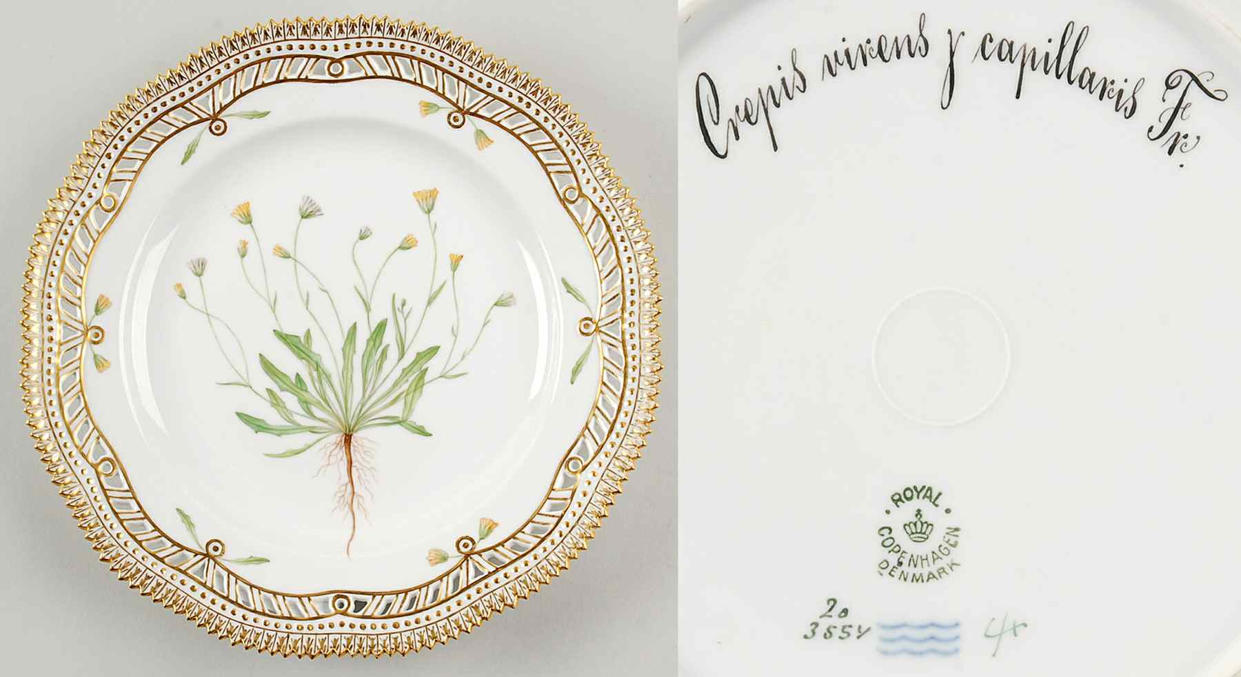 Flora Danica (1790 To 1960) 9" Pierced Luncheon Plate/Fruit Std-Crepis virens by Royal Copenhagen-1