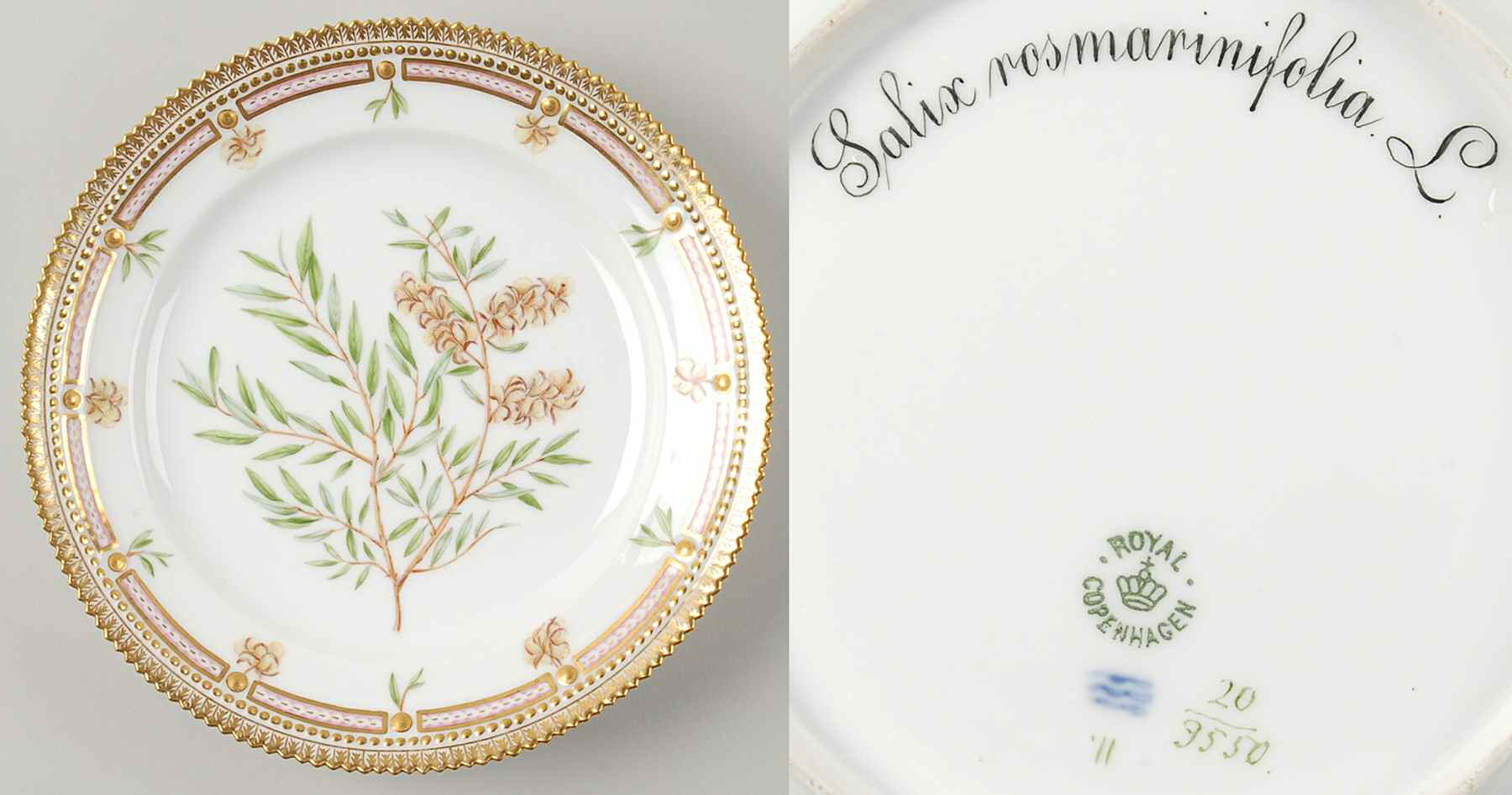 Flora Danica (1790 To 1960) Luncheon Plate-Salix rosmarinifolia L by Royal Copenhagen-1