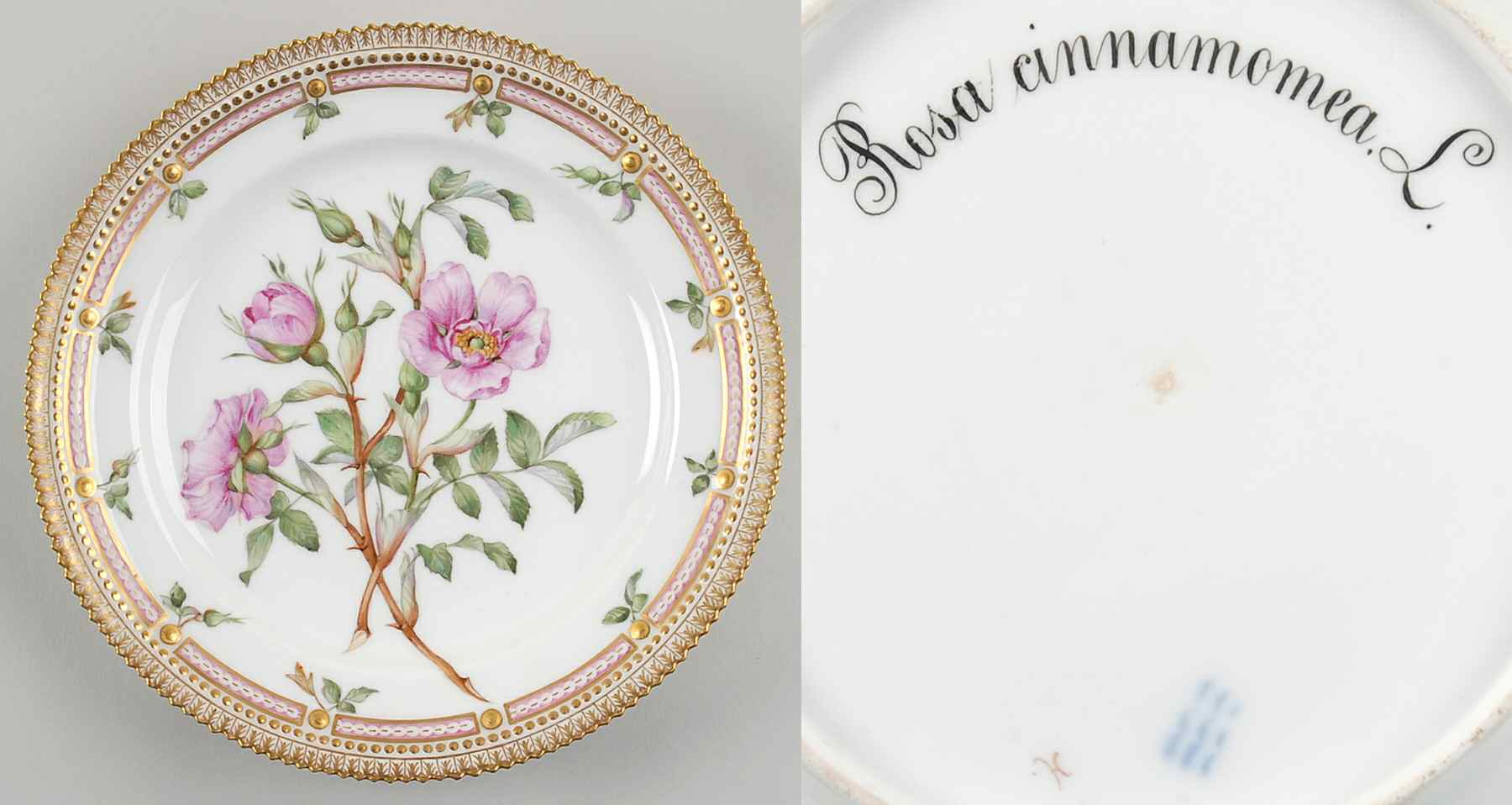 Flora Danica (1790 To 1960) Luncheon Plate-Rosa cinnamomea L by Royal Copenhagen-1