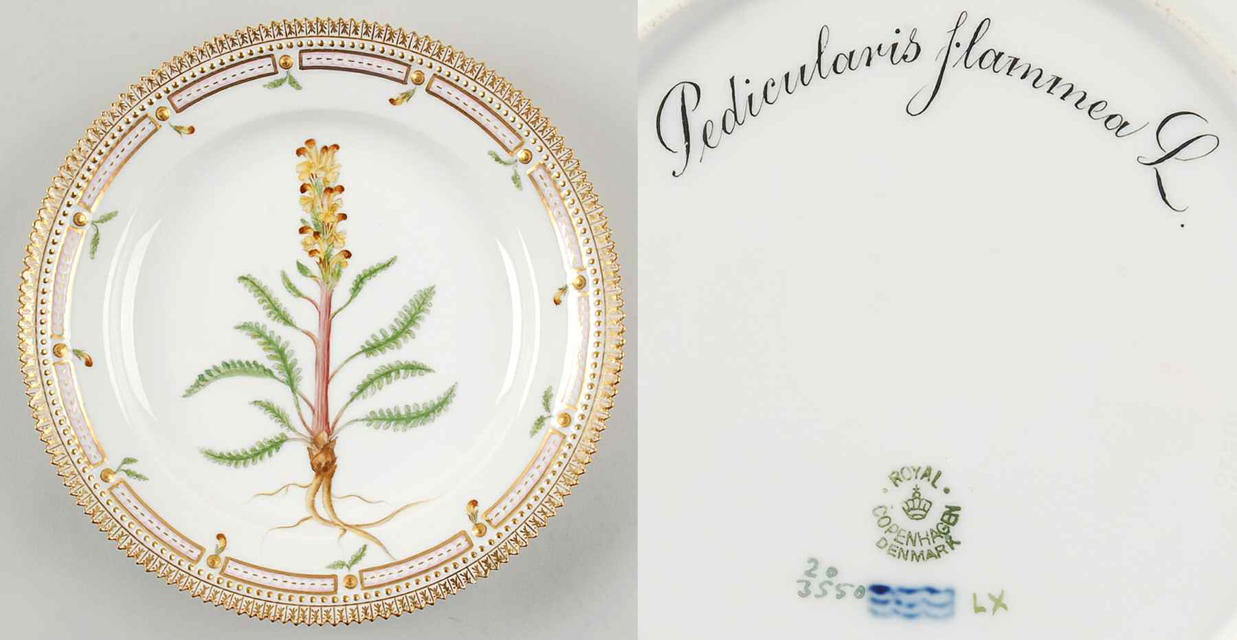 Flora Danica (1790 To 1960) Luncheon Plate-Pedicularis flammea L by Royal Copenhagen-1