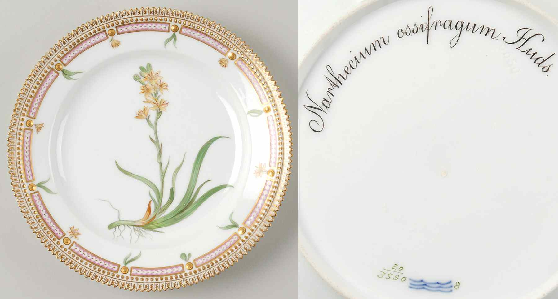 Flora Danica (1790 To 1960) Luncheon Plate-Narthecium ossifragum Huds by Royal Copenhagen-1