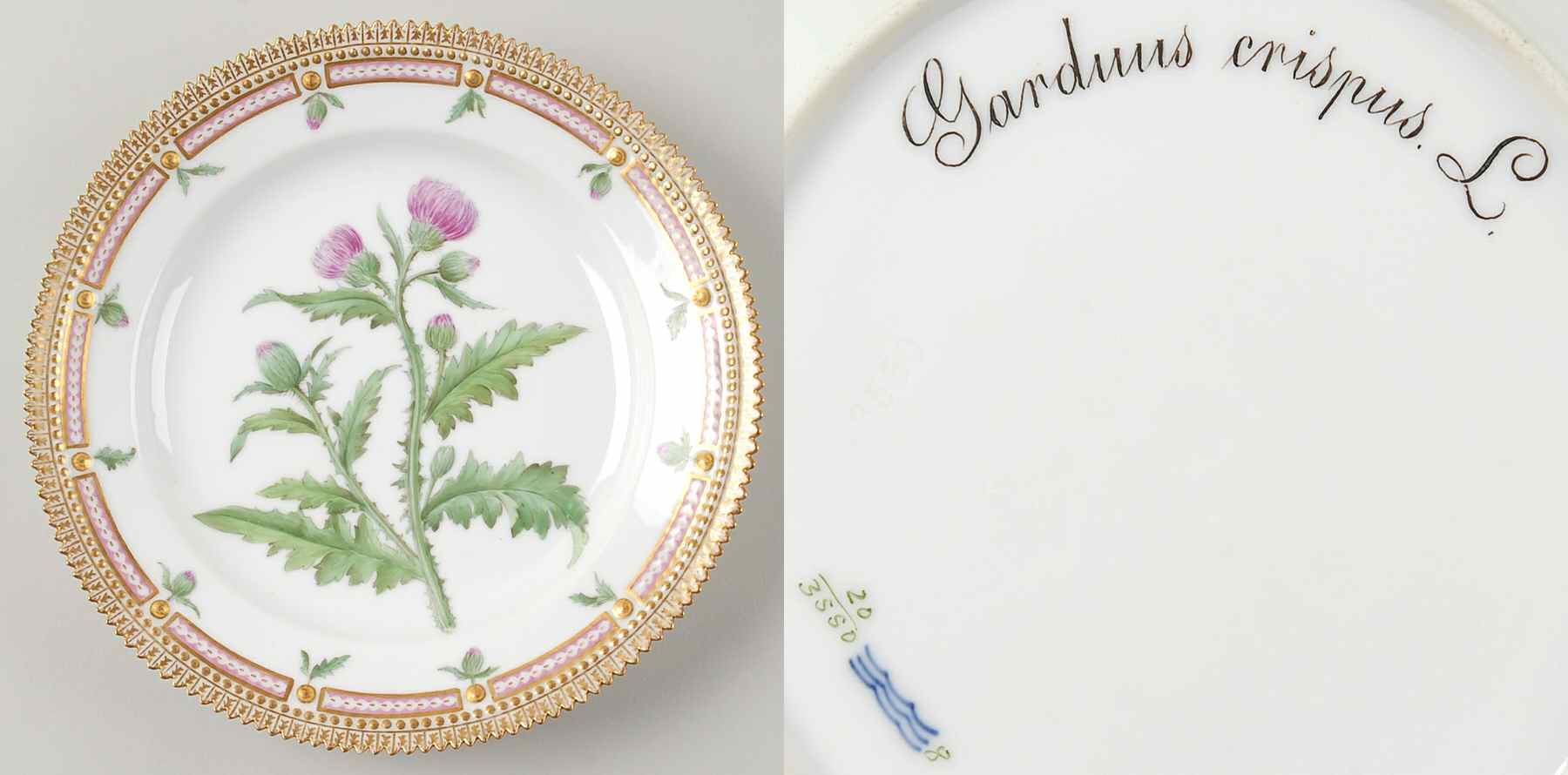 Flora Danica (1790 To 1960) Luncheon Plate-Carduus crispus L by Royal Copenhagen-1