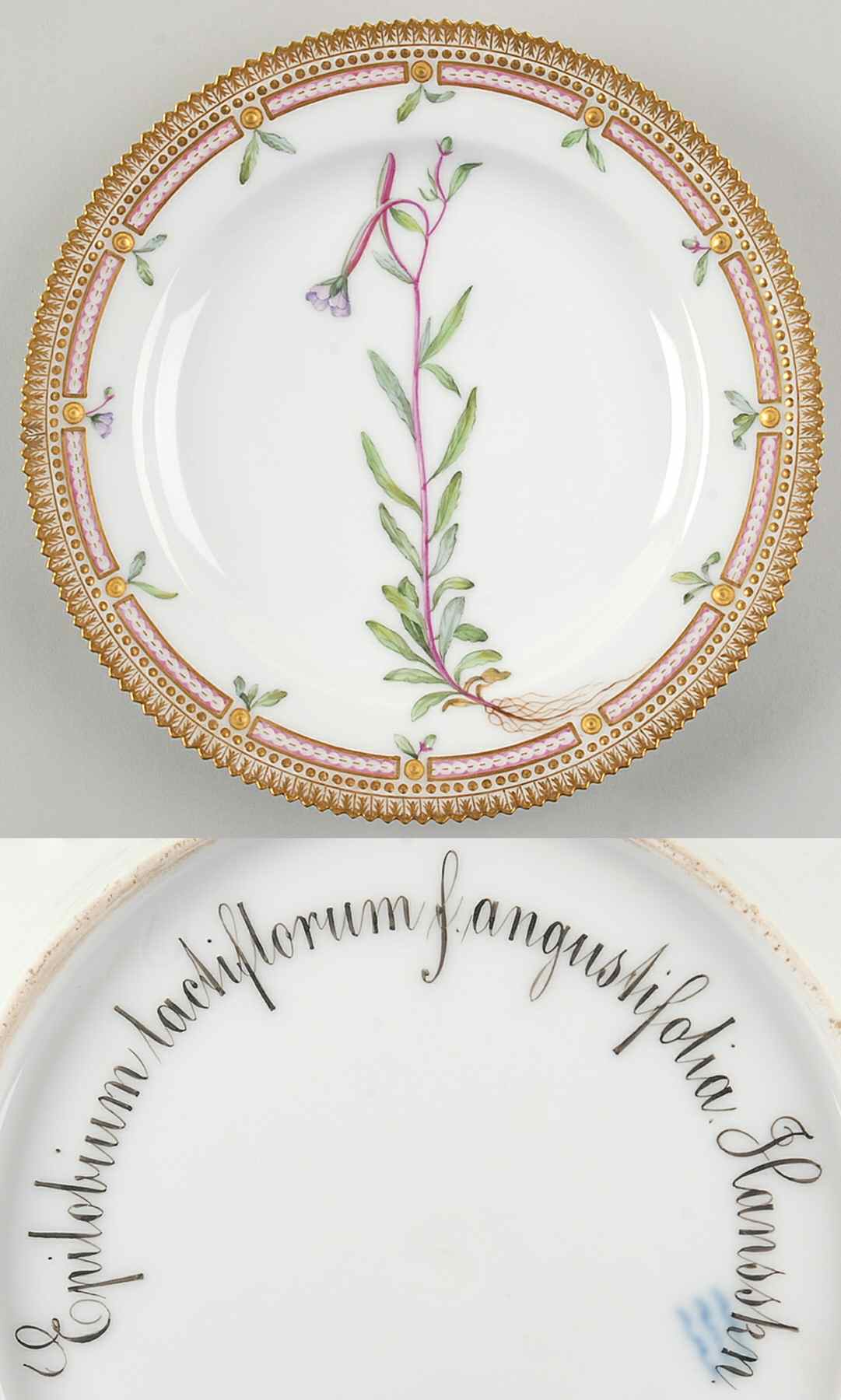 Flora Danica (1790 To 1960) Luncheon Plate-Epilobium lactiflorum f angustifoli by Royal Copenhagen-1