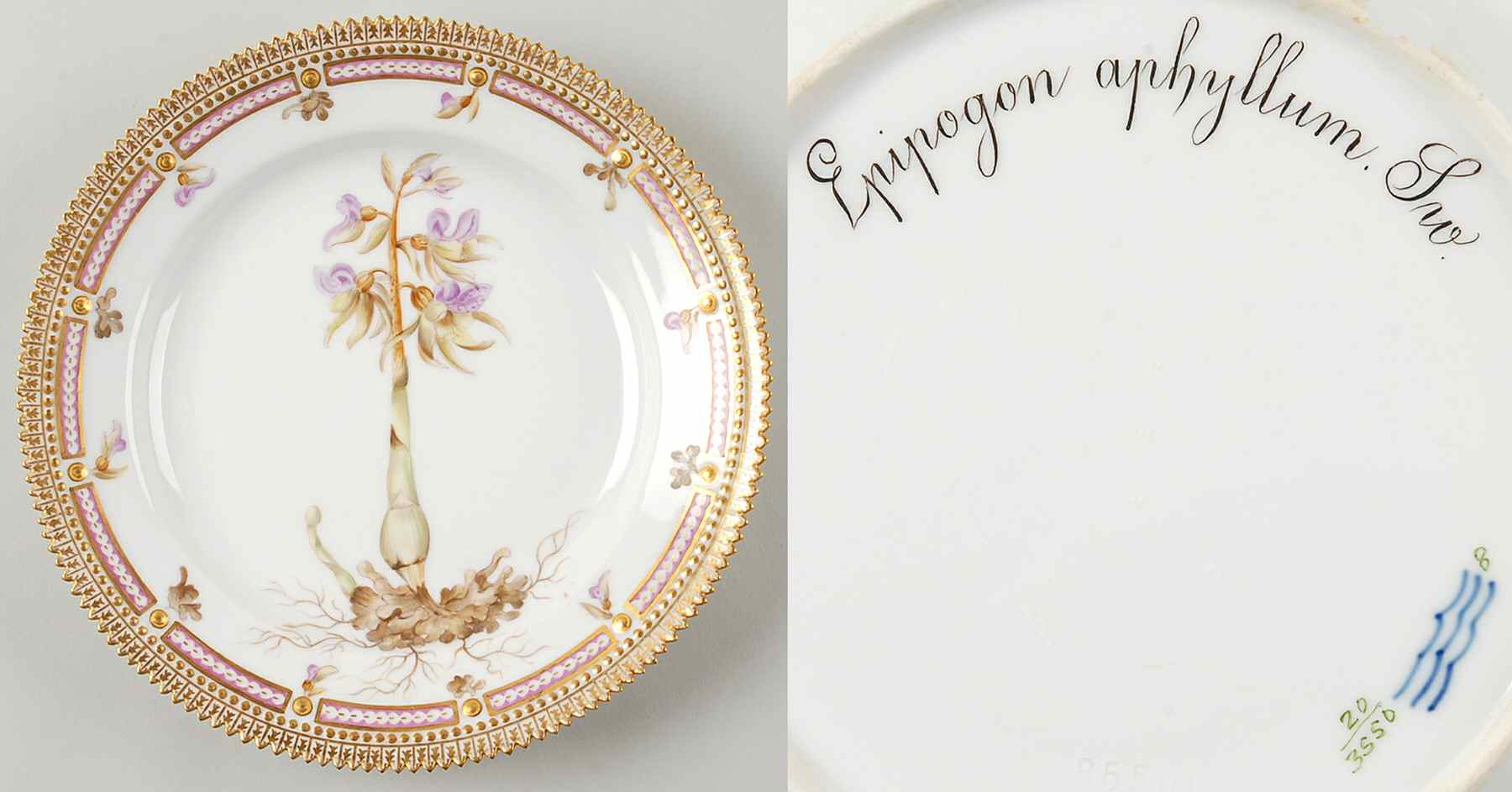 Flora Danica (1790 To 1960) Luncheon Plate-Epipogon aphyllum Sw by Royal Copenhagen-1