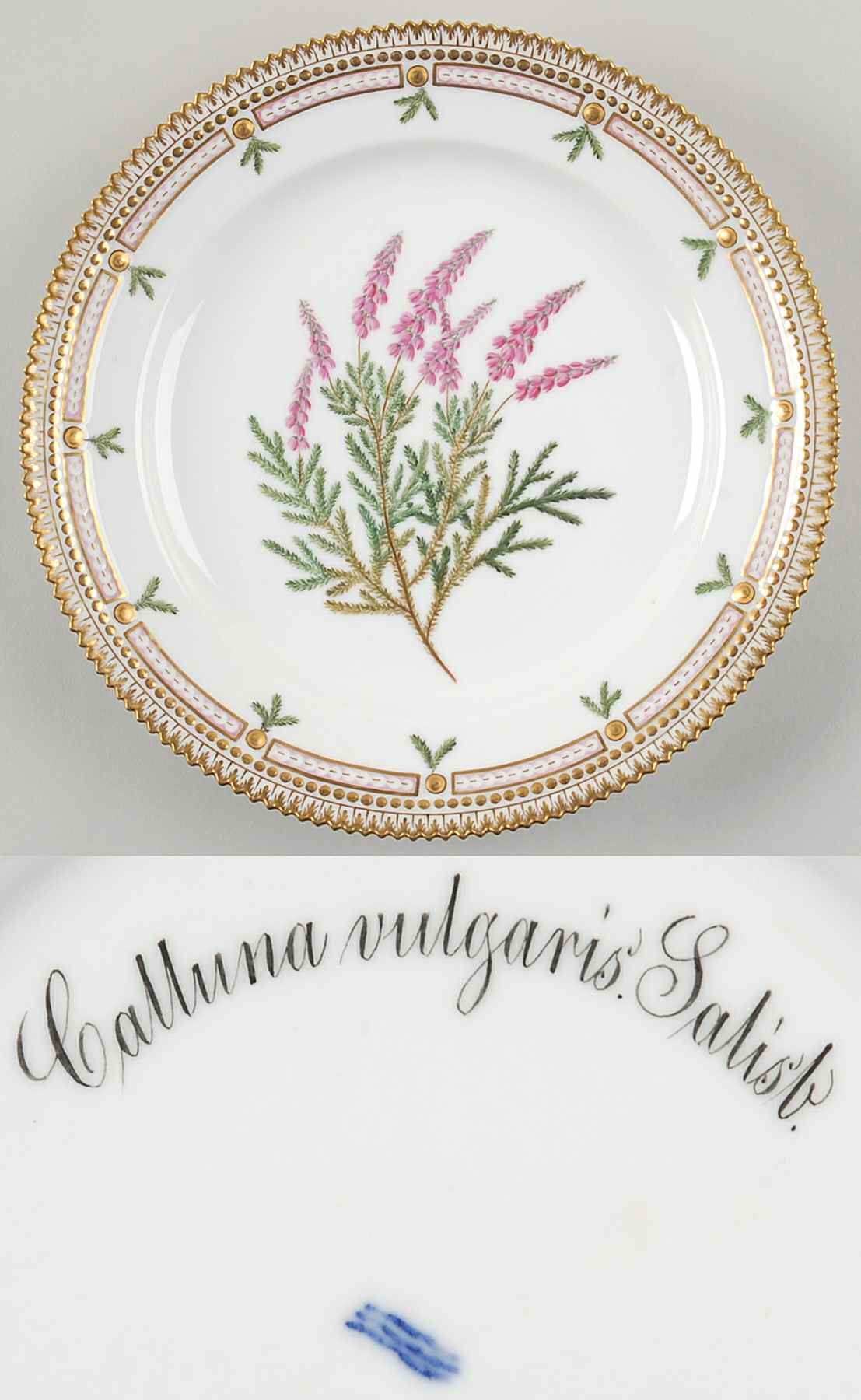 Flora Danica (1790 To 1960) Luncheon Plate-Calluna vulgaris Salisb by Royal Copenhagen-1