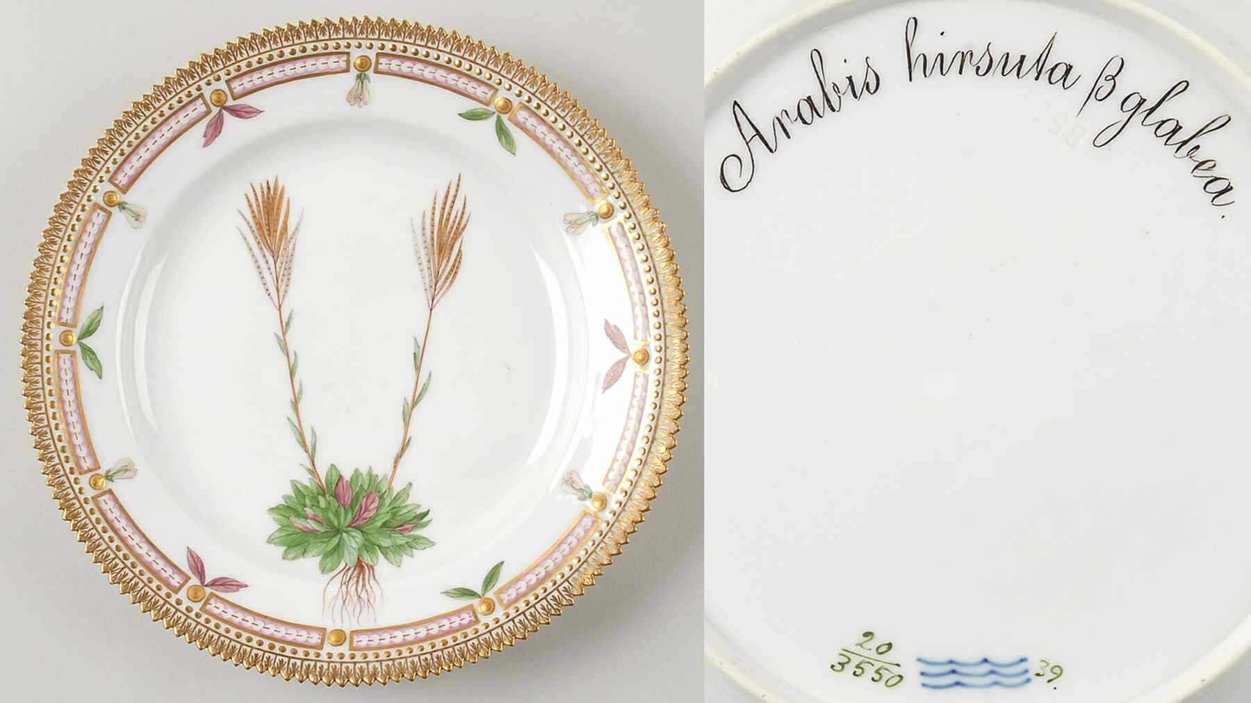 Flora Danica (1790 To 1960) Luncheon Plate-Arabis hirsuta B glabea by Royal Copenhagen-1