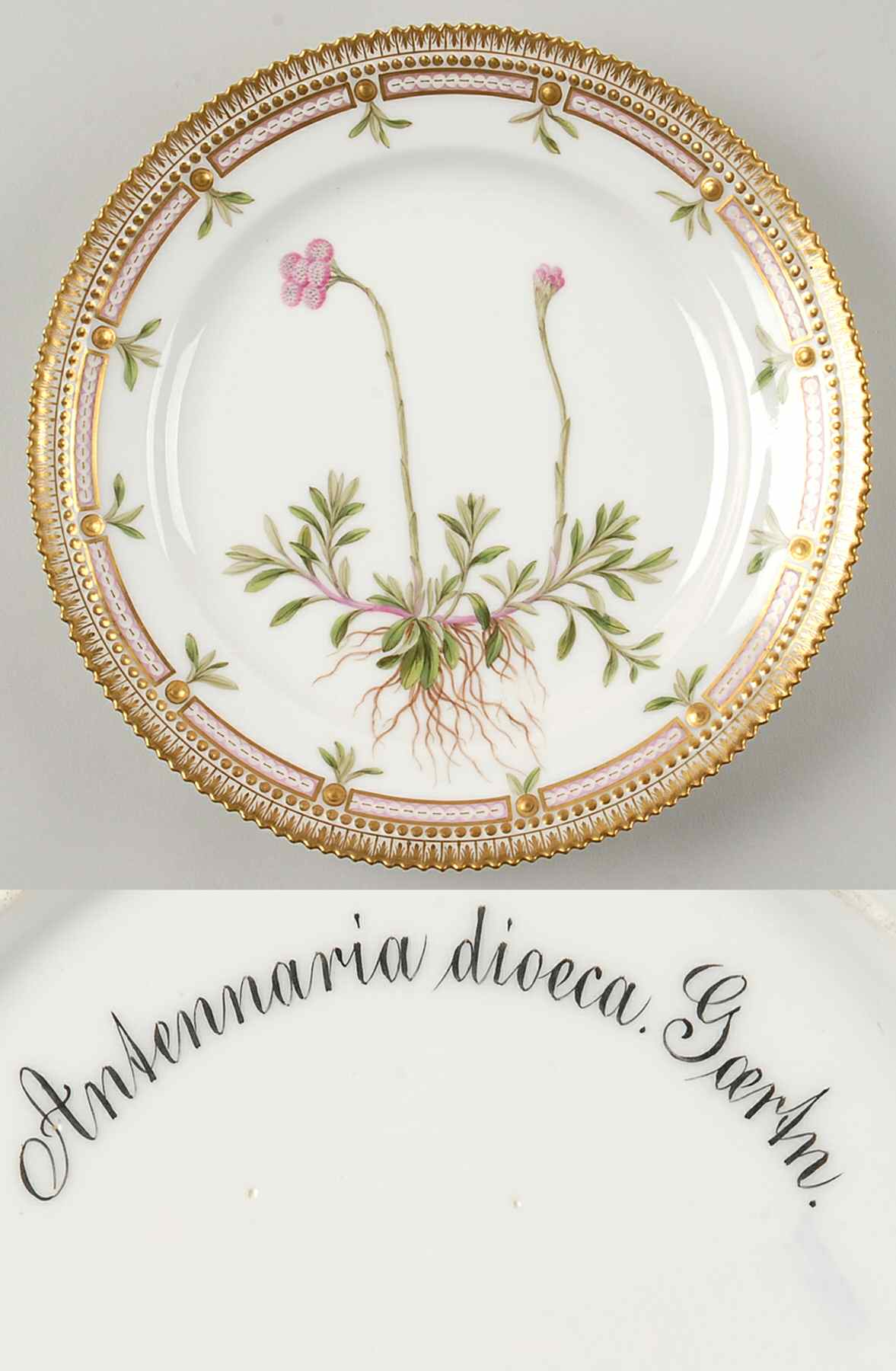 Flora Danica (1790 To 1960) Luncheon Plate-Antennaria dioica Gaertn by Royal Copenhagen-1