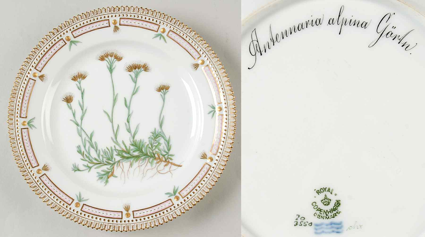 Flora Danica (1790 To 1960) Luncheon Plate-Antennaria alpina Gartn by Royal Copenhagen-1