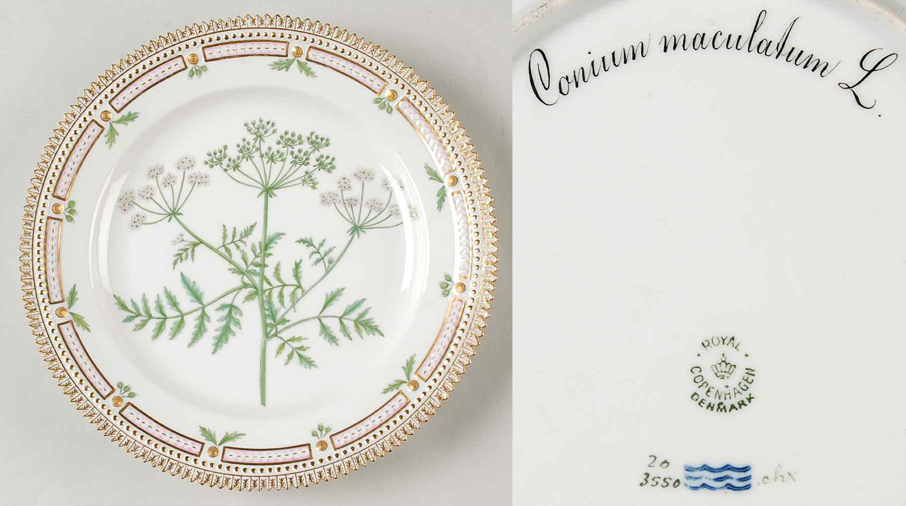 Flora Danica (1790 To 1960) Luncheon Plate-Conium maculatum L by Royal Copenhagen-1