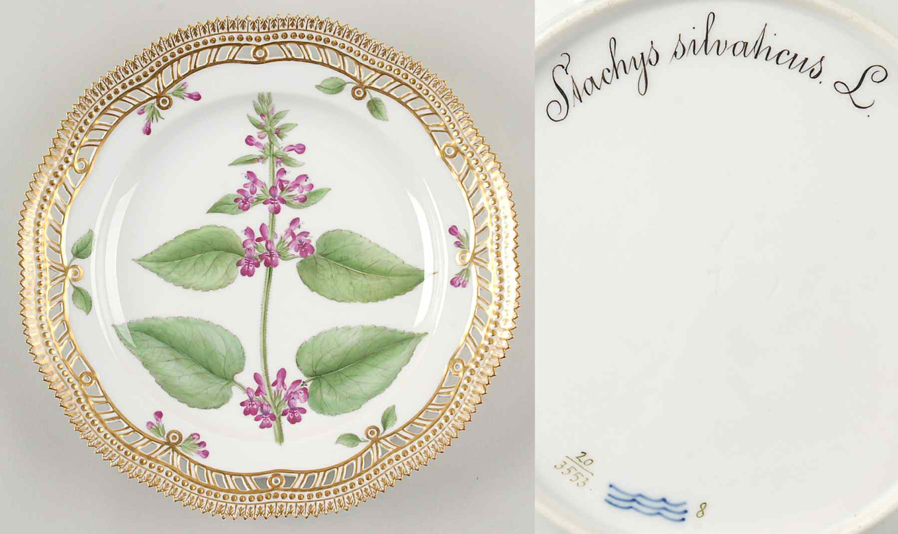 Flora Danica (1790 To 1960) 10" Pierced Dinner Plate/Fruit Std-Stachys silvati by Royal Copenhagen-1