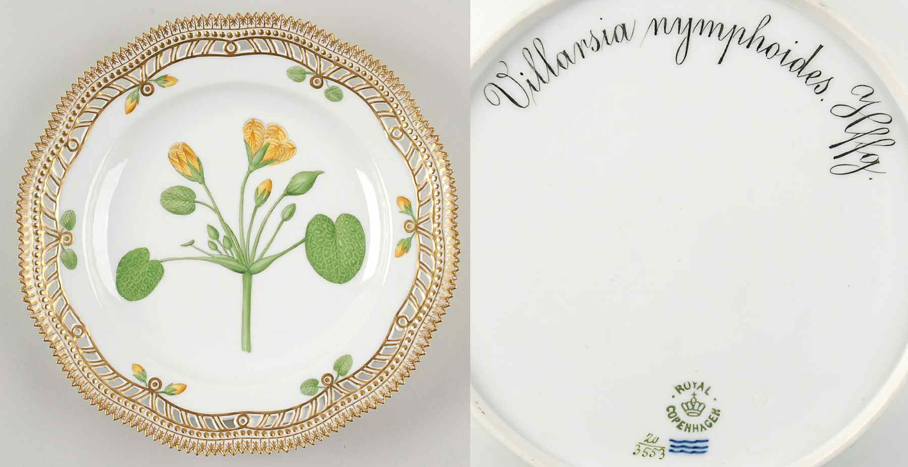 Flora Danica (1790 To 1960) 10" Pierced Dinner Plate/Fruit Std-Villarsia nymph by Royal Copenhagen-1