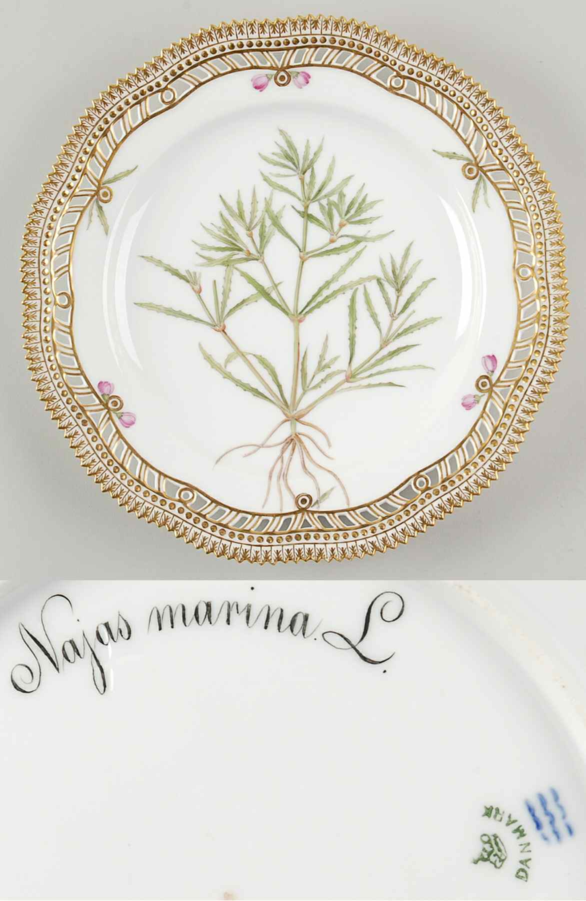Flora Danica (1790 To 1960) 9" Pierced Dinner Plate/Fruit Std-Najas marina L by Royal Copenhagen-1