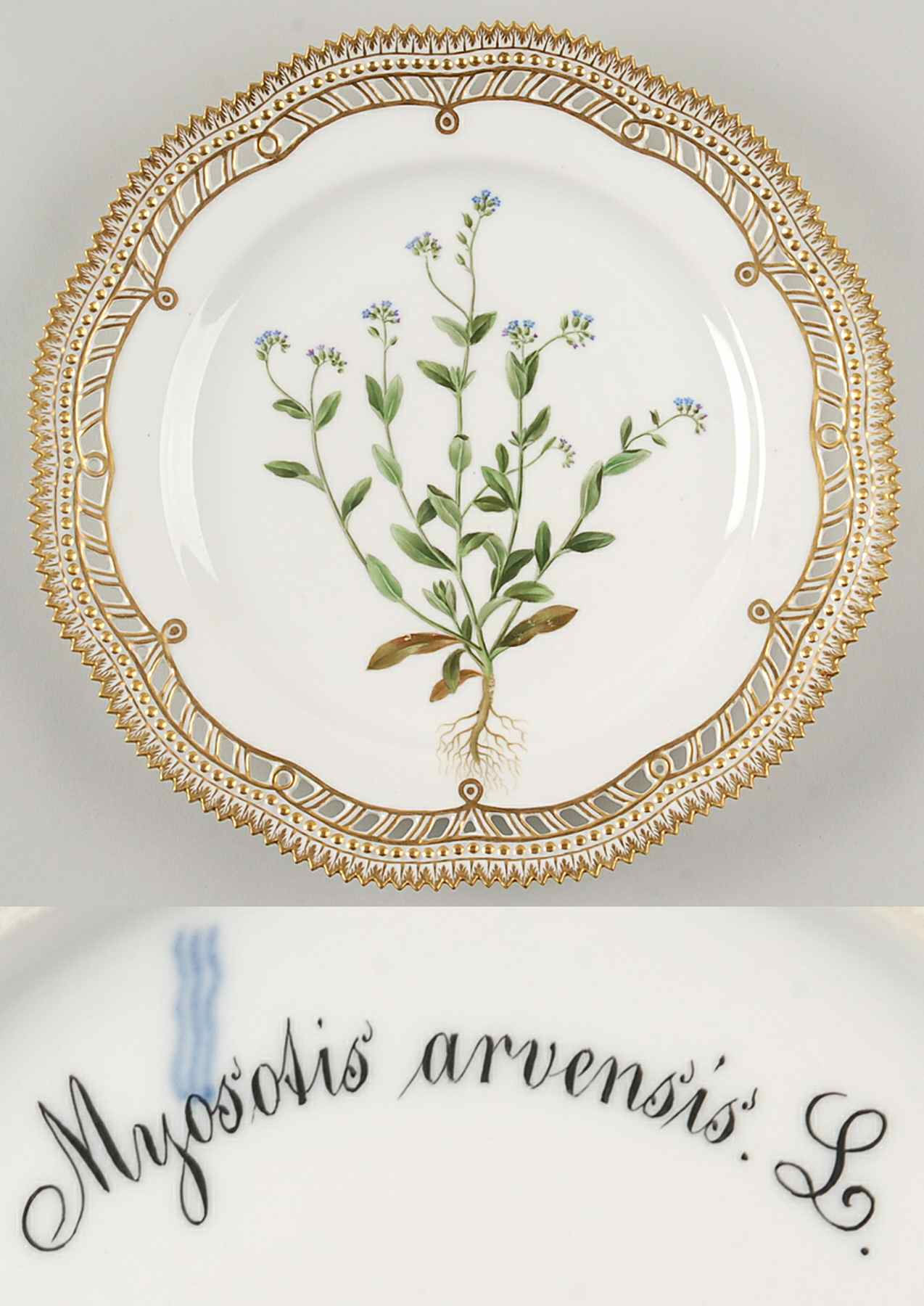 Flora Danica (1790 To 1960) 10" Pierced Dinner Plate/Fruit Std-Myosotis arvens by Royal Copenhagen-1