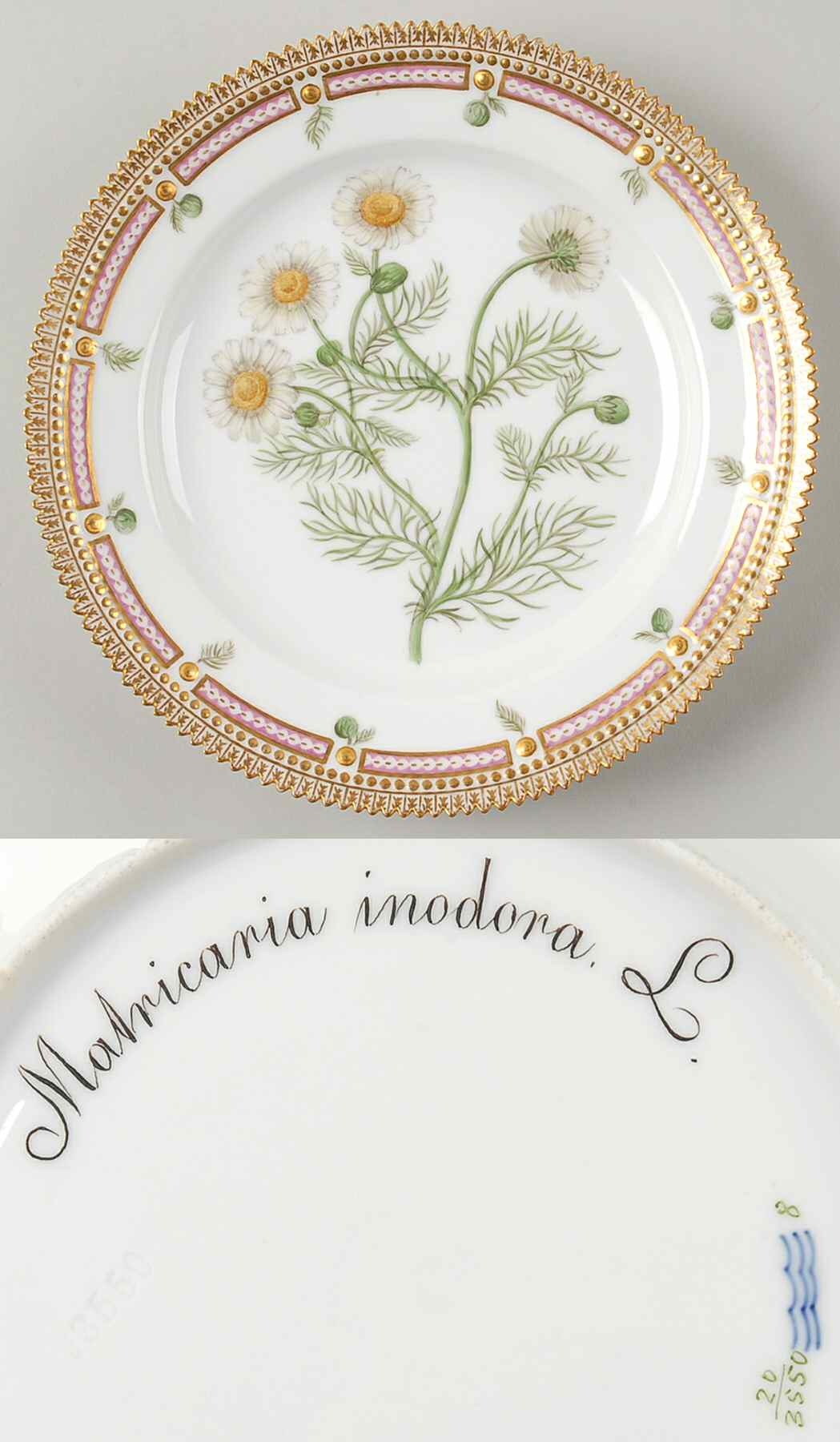 Flora Danica (1790 To 1960) Luncheon Plate-Matricaria inodora L by Royal Copenhagen-1