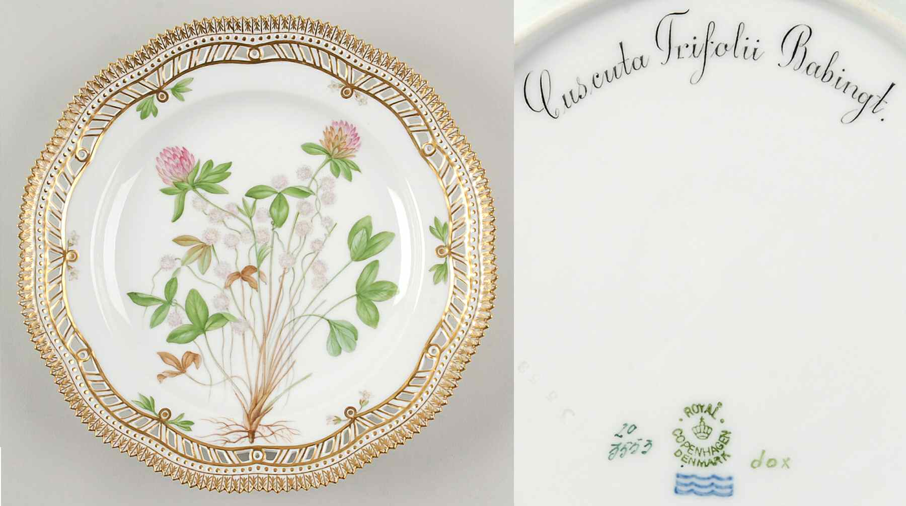 Flora Danica (1790 To 1960) 10" Pierced Dinner Plate/Fruit Std-Cuscuta Trifoli by Royal Copenhagen-1