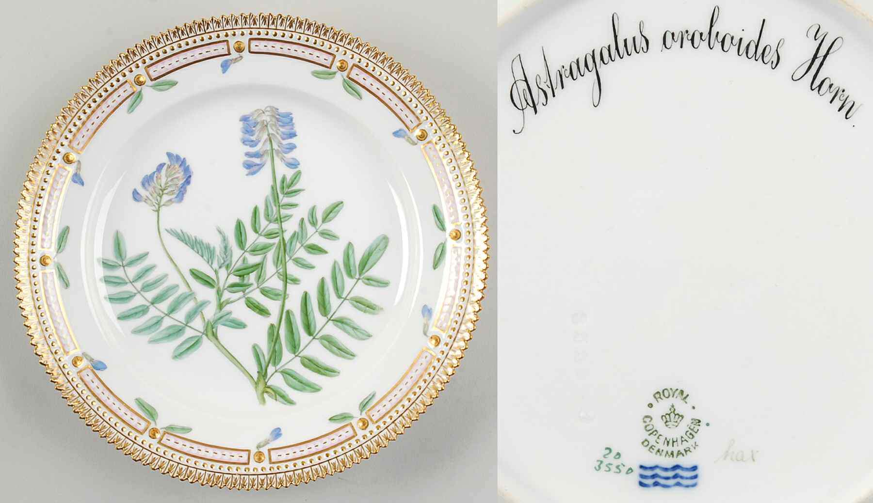 Flora Danica (1790 To 1960) Luncheon Plate-Astragalus oroboides Horn by Royal Copenhagen-1