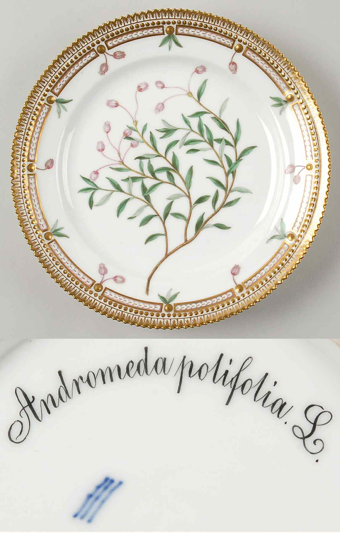 Flora Danica (1790 To 1960) Luncheon Plate-Andromeda polifolia L by Royal Copenhagen-1