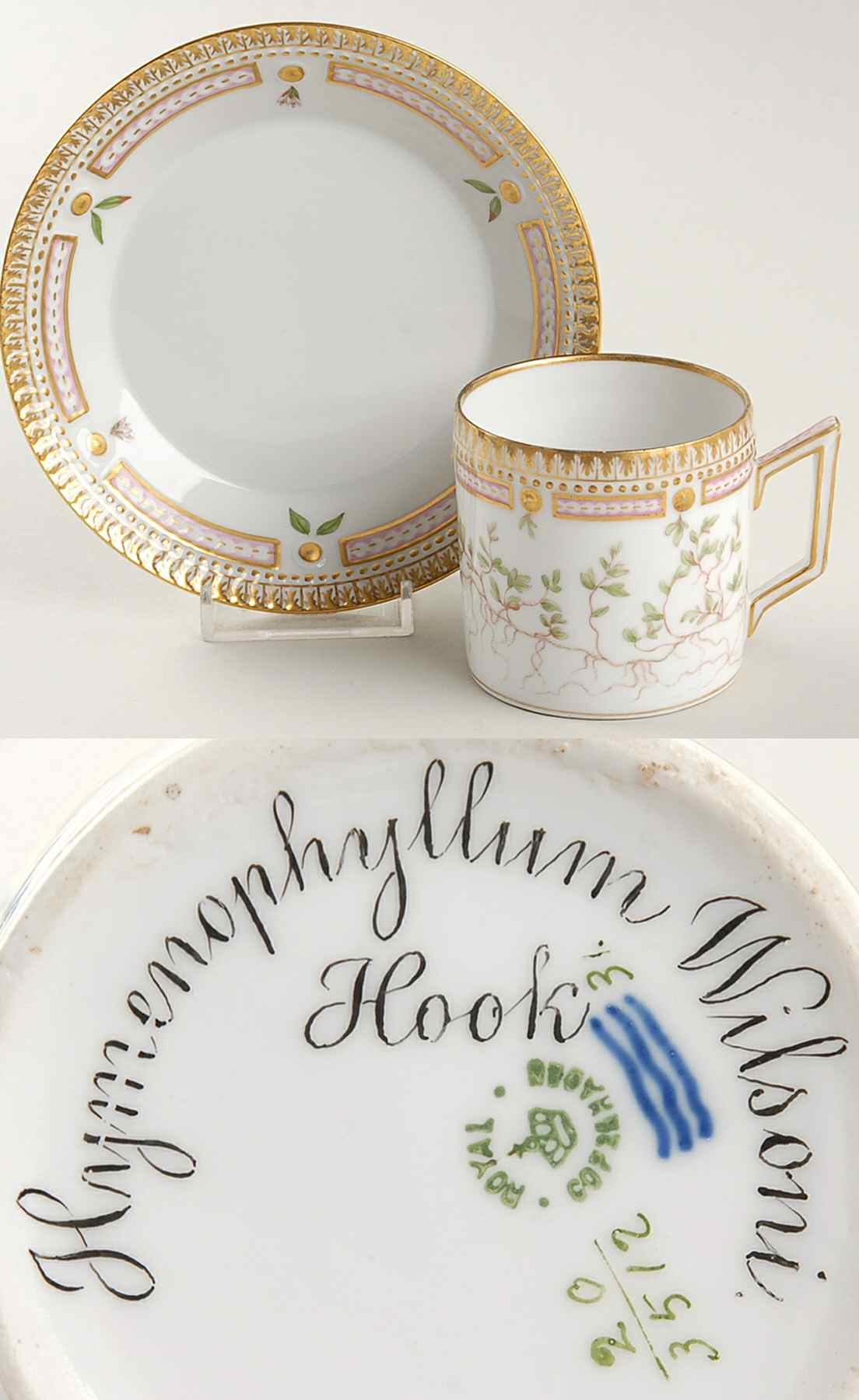 Flora Danica (1790 To 1960) Chocolate Cup & Smooth Saucer-Hymenophyllum Wilson by Royal Copenhagen-1