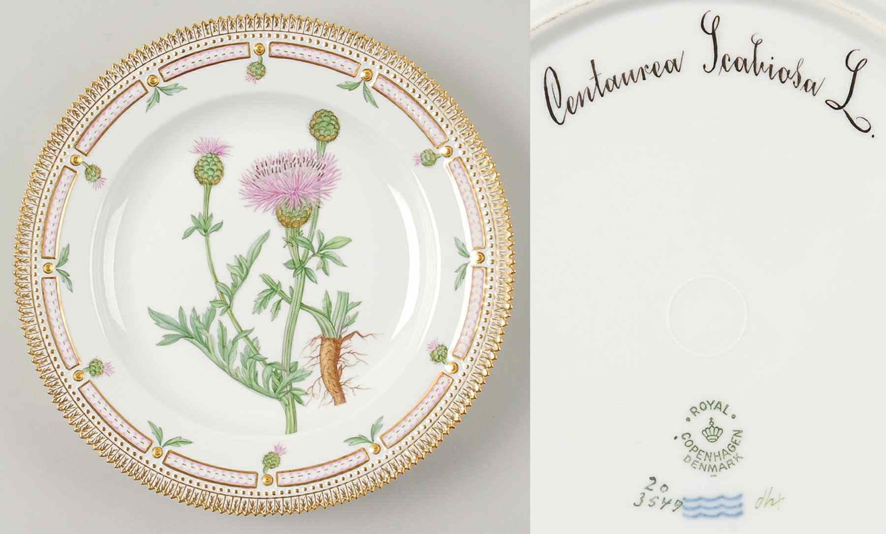 Flora Danica (1790 To 1960) Dinner Plate-Centaurea Scabiosa L by Royal Copenhagen-1