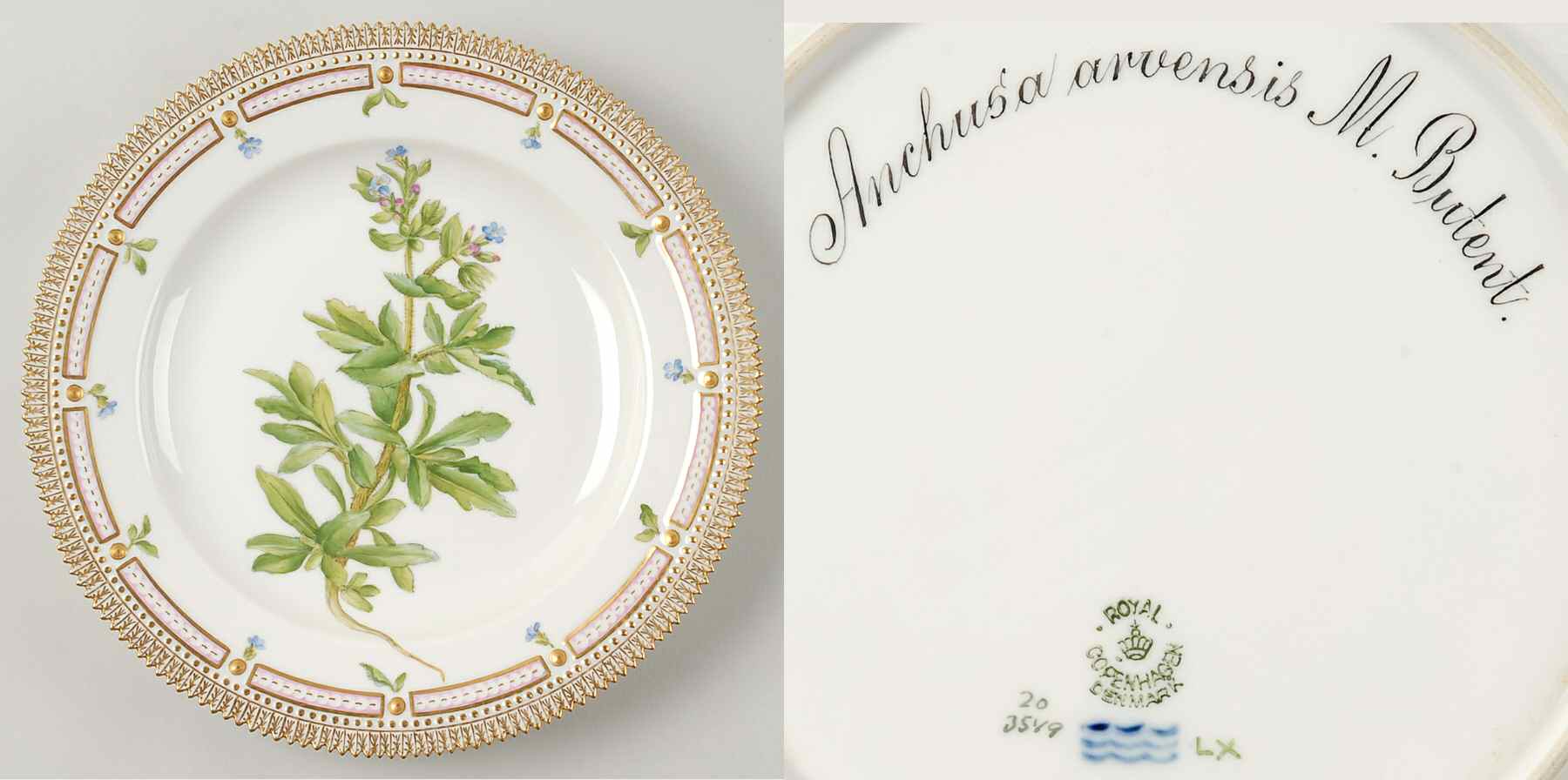 Flora Danica (1790 To 1960) Dinner Plate-Anchusa arvensis M Butent by Royal Copenhagen-1