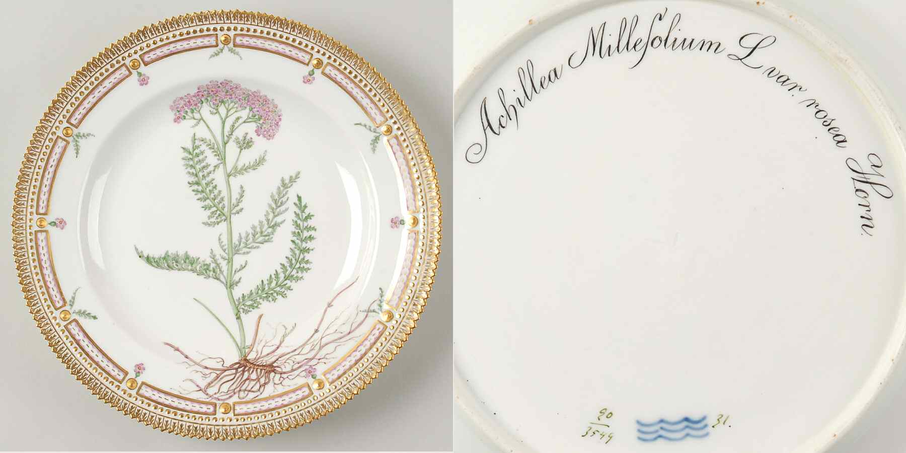 Flora Danica (1790 To 1960) Dinner Plate-Achillea Millefolium L var rosea horn by Royal Copenhagen-1