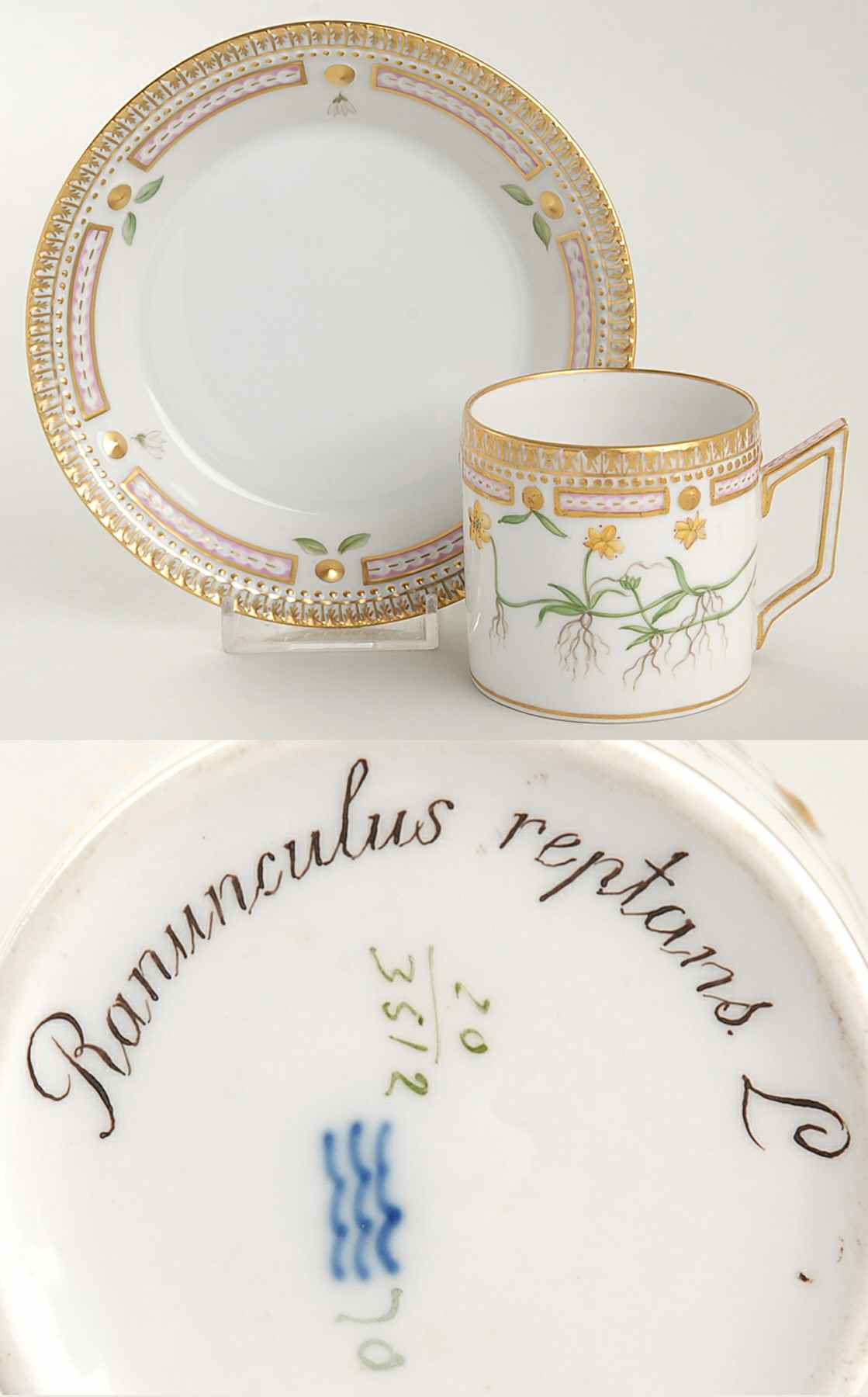 Flora Danica (1790 To 1960) Chocolate Cup & Smooth Saucer-Ranunculus reptans L by Royal Copenhagen-1
