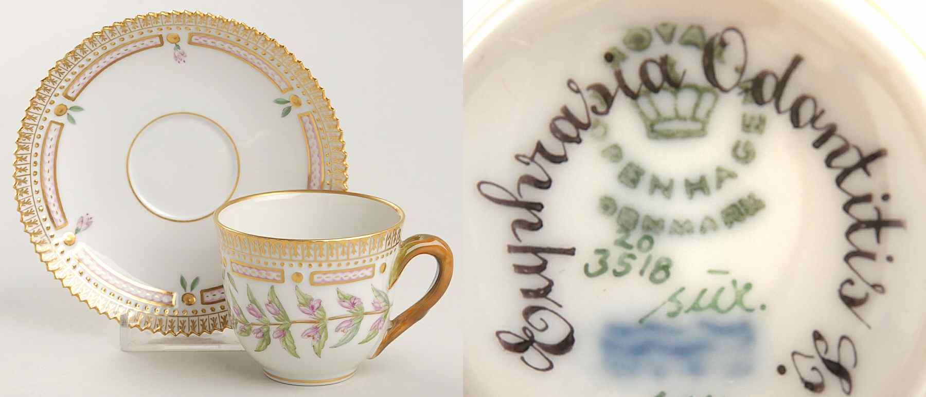 Flora Danica (1790 To 1960) Flat Demitasse Cup & Saucer-Euphrasia Odontitis L by Royal Copenhagen-1