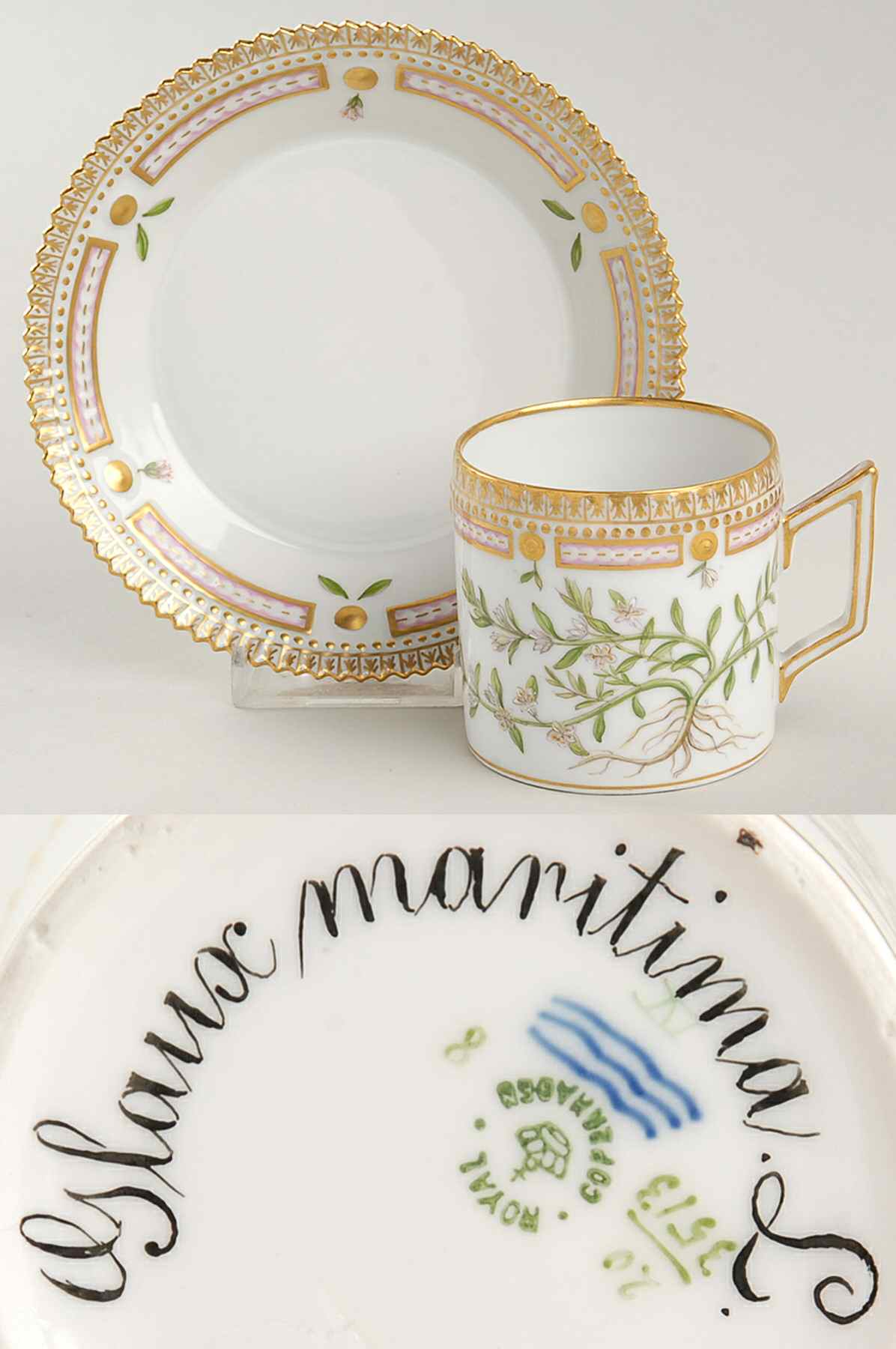 Flora Danica (1790 To 1960) Chocolate Cup & Serrated Saucer-Glaux maritima L by Royal Copenhagen-1