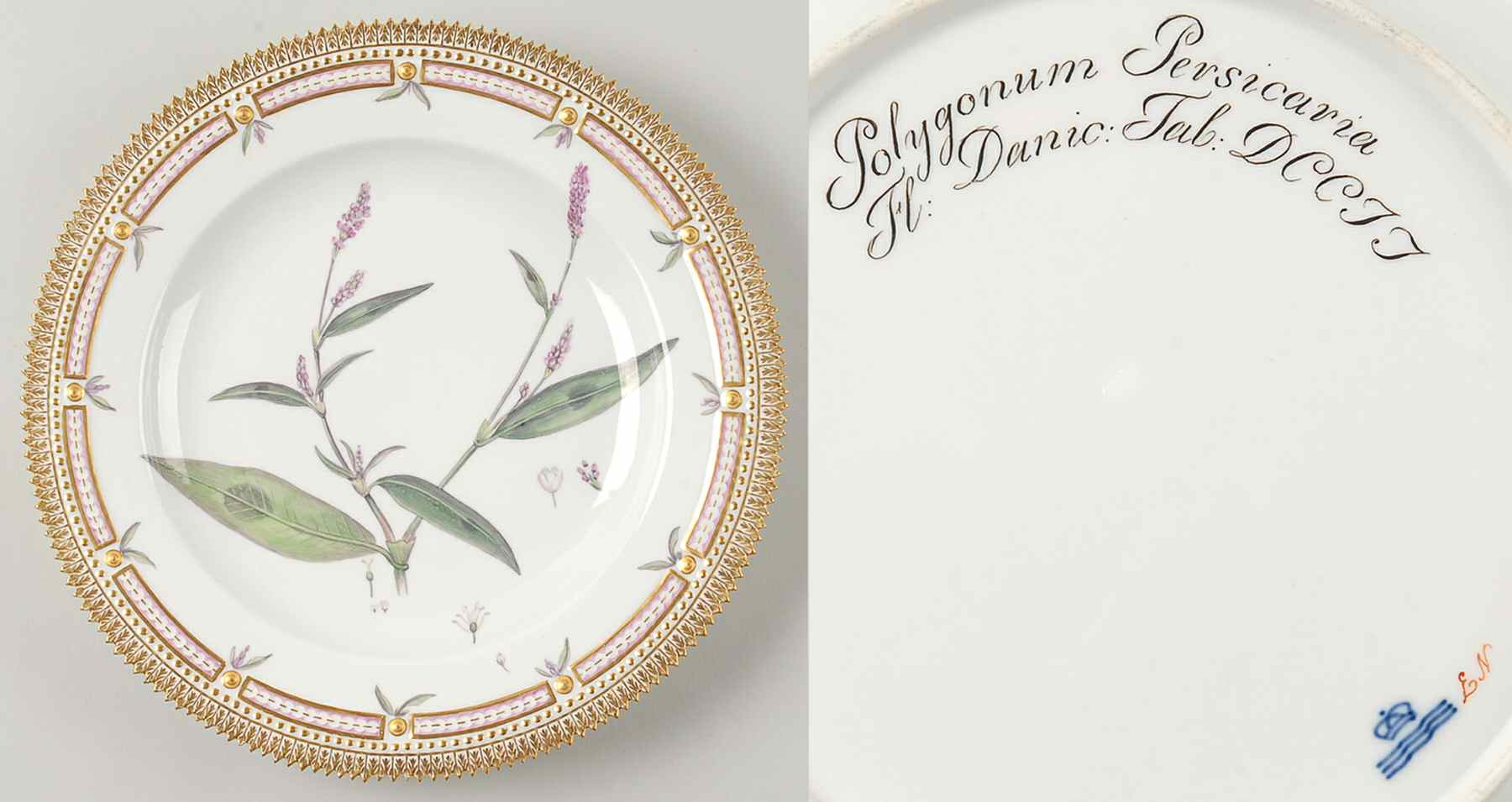 Flora Danica (1790 To 1960) Dinner Plate-JM-Polygonum persicaria L by Royal Copenhagen-1