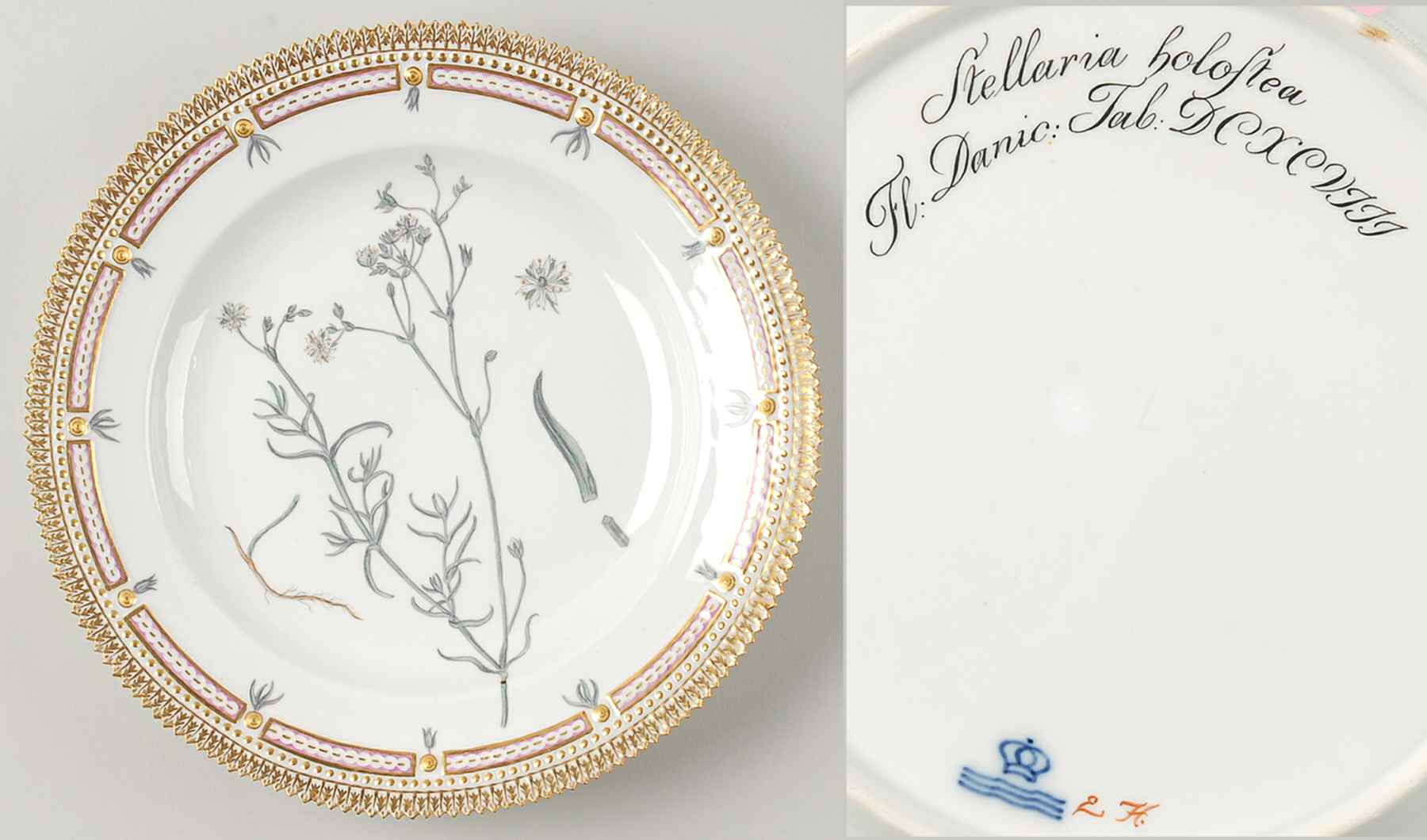 Flora Danica (1790 To 1960) Dinner Plate-JM-Stellaria holostea by Royal Copenhagen-1